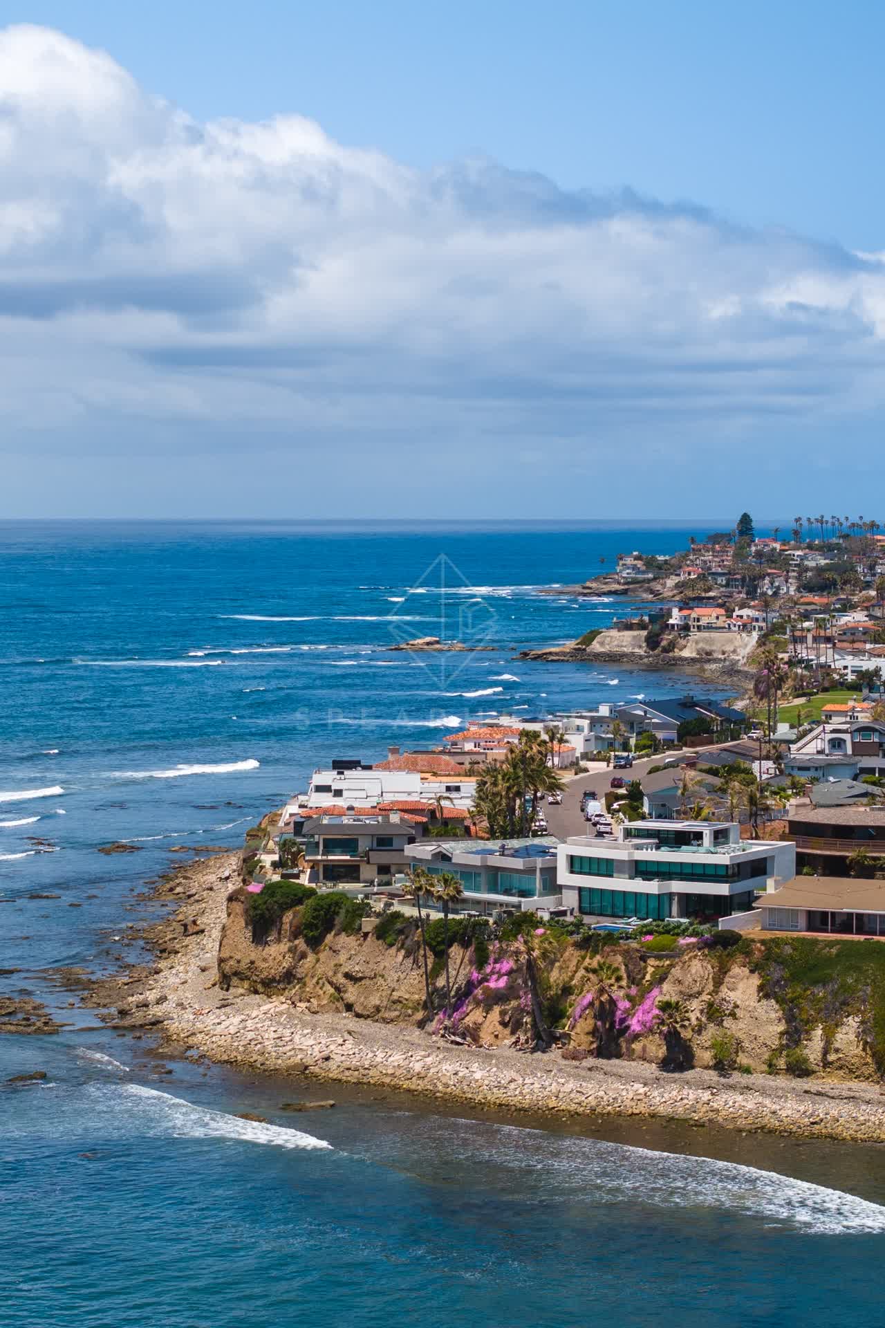 Aerial view of the cliffs, palm trees and the ocean at Bird Rock.
