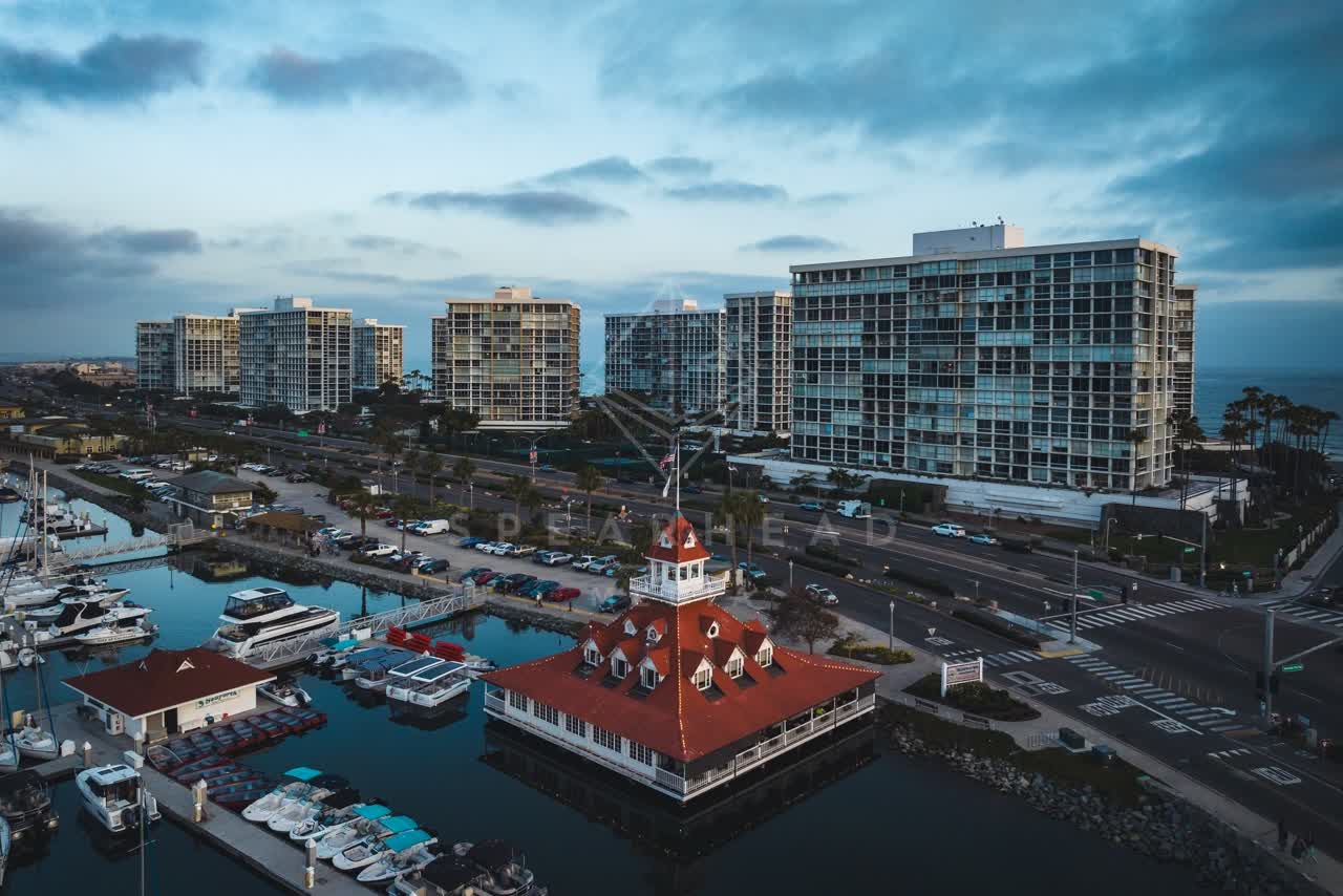 Low aerial view of the harbor, boats and palm trees at Coronado Beach.