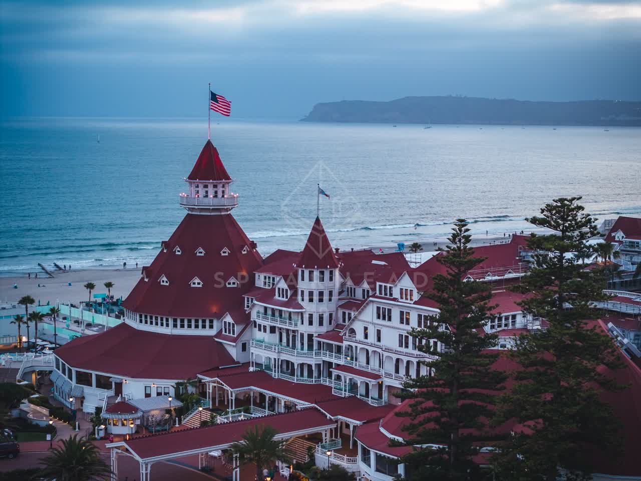 Low aerial view of the beach, palm trees and the ocean at Coronado Beach.