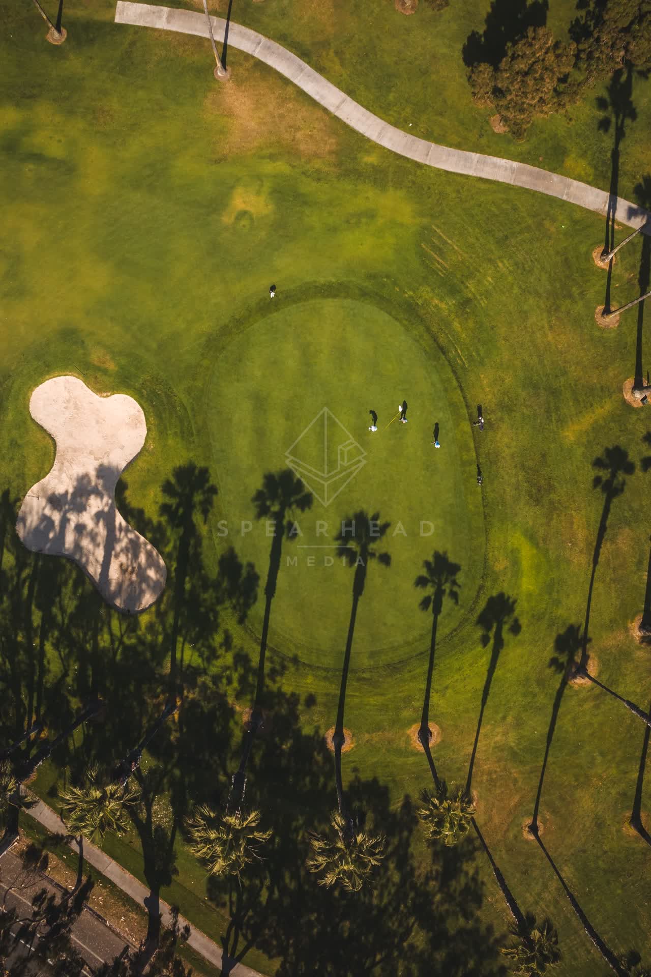Aerial view of a park, palm trees and open country at Coronado Beach, with people walking.