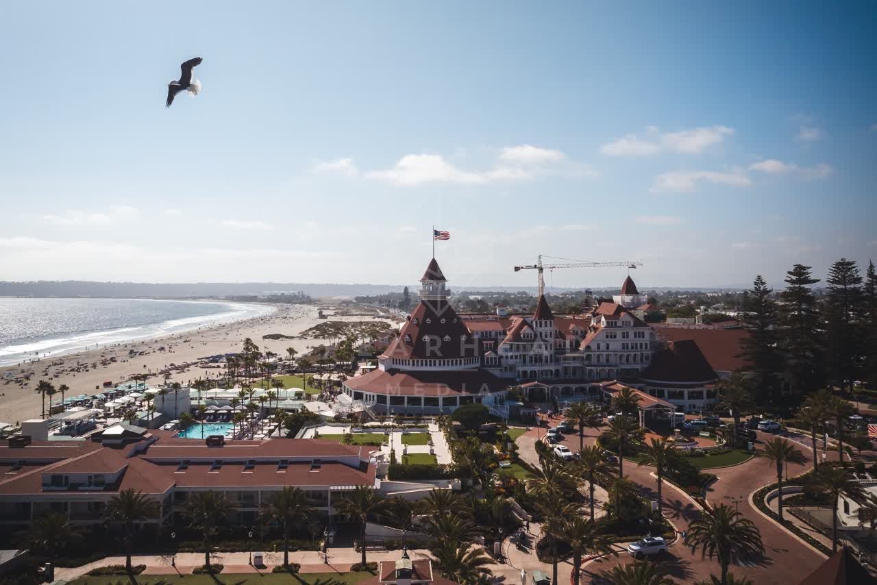 Aerial view of the beach, wildlife and palm trees at Coronado Beach.