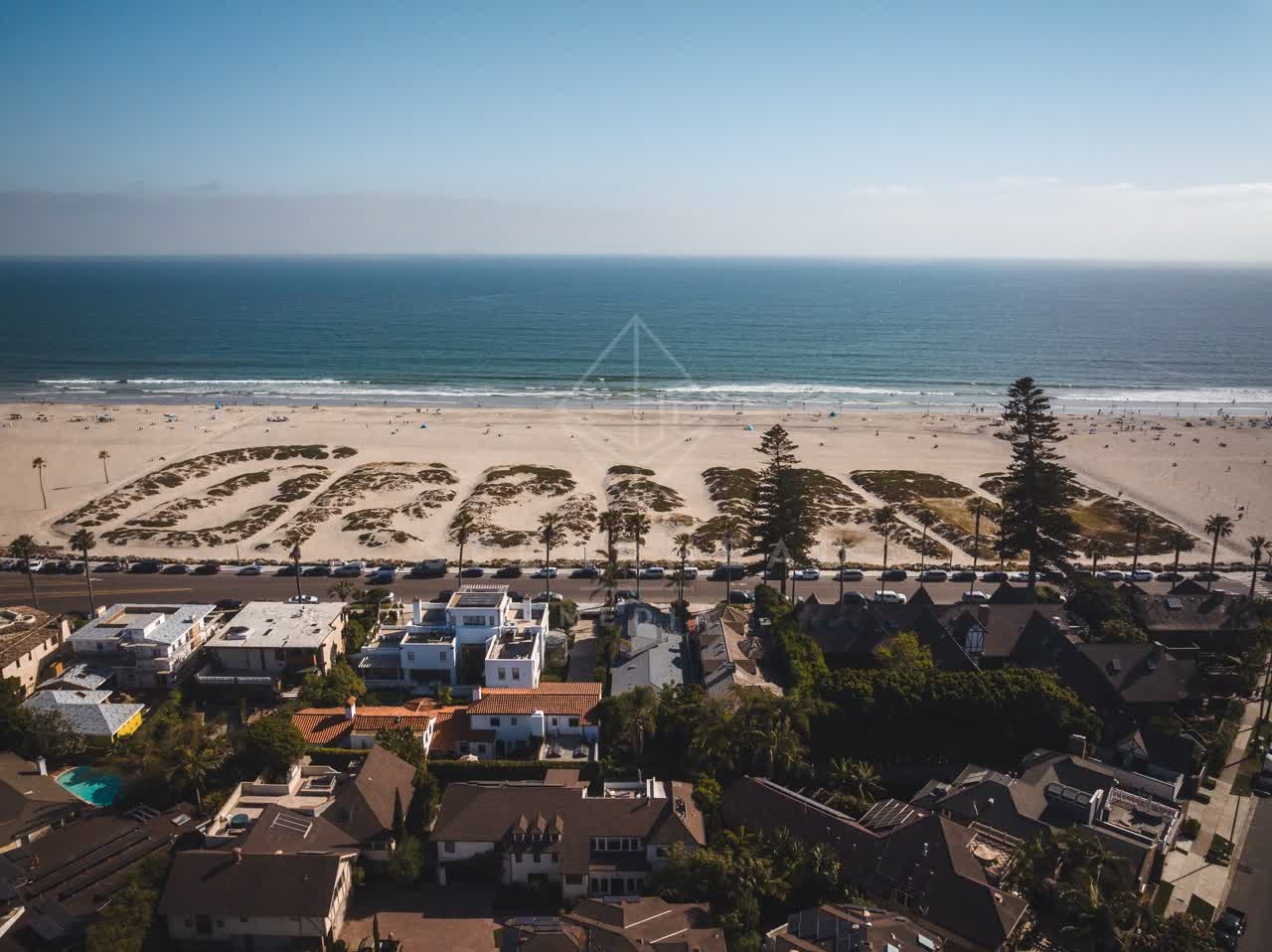 Aerial view of the beach, the surf and palm trees at Coronado Beach.