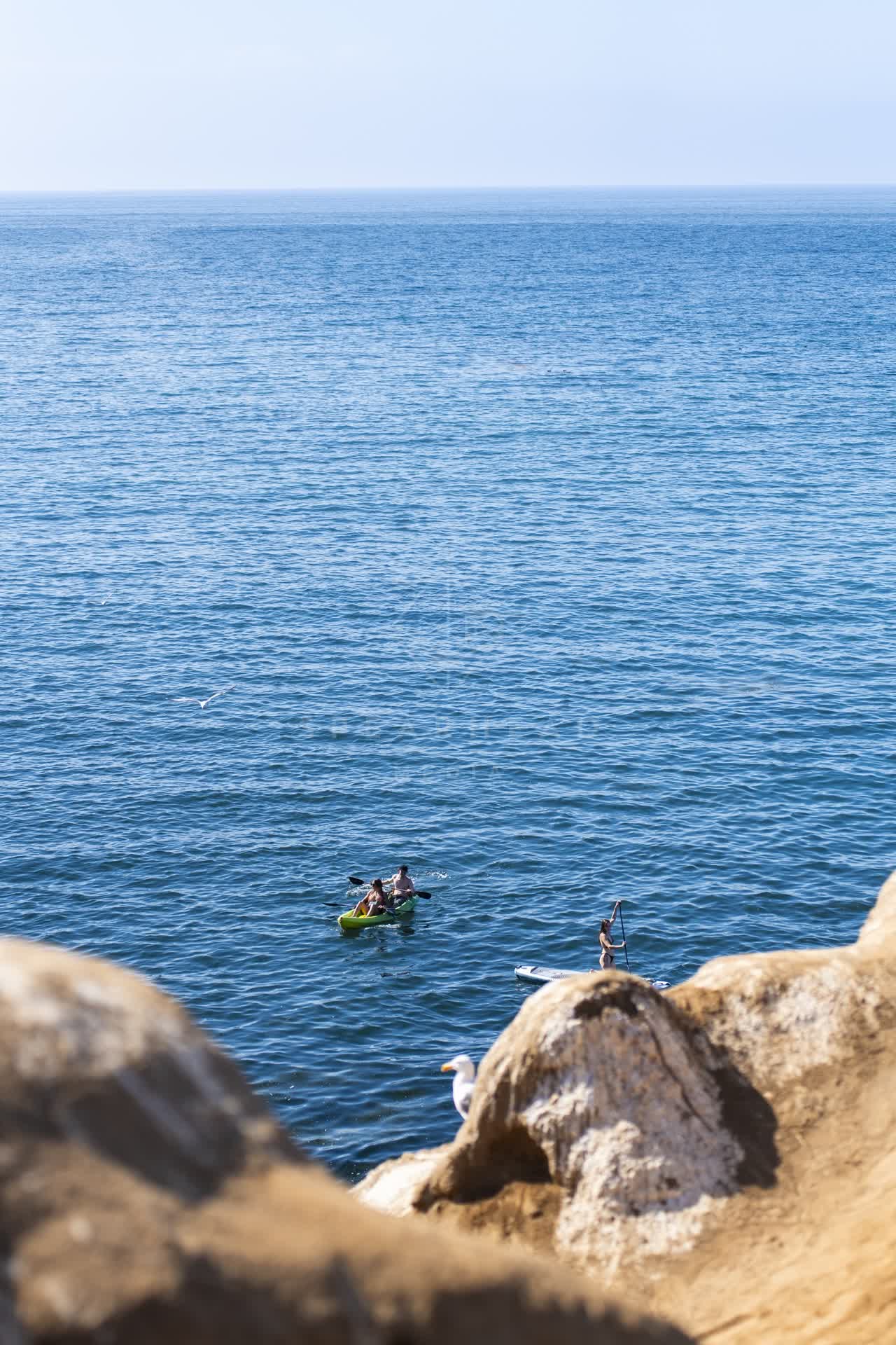 Elevated view of the cliffs, boats and wildlife at La Jolla Cove, with paddlers on the water.