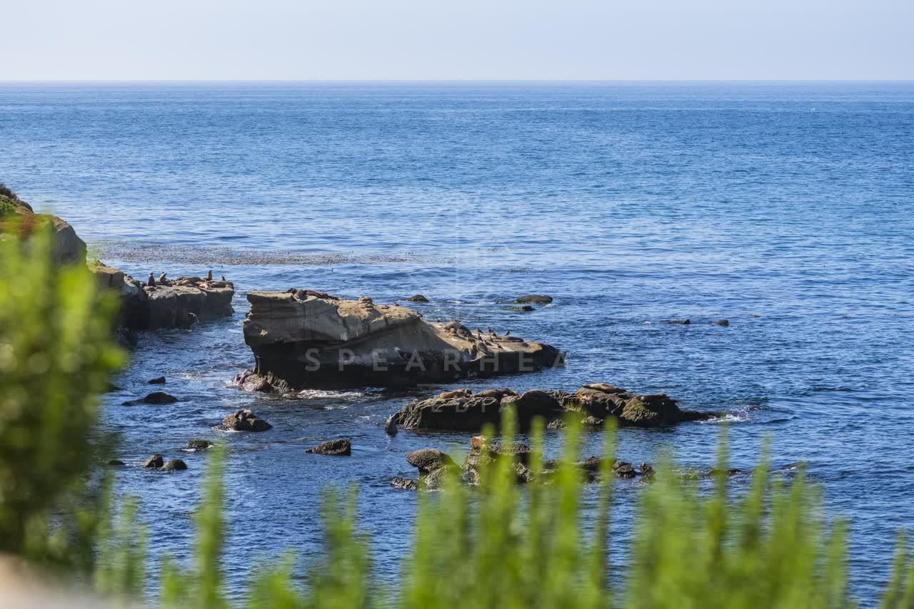 Elevated view of the cliffs, wildlife and the ocean at La Jolla Cove.