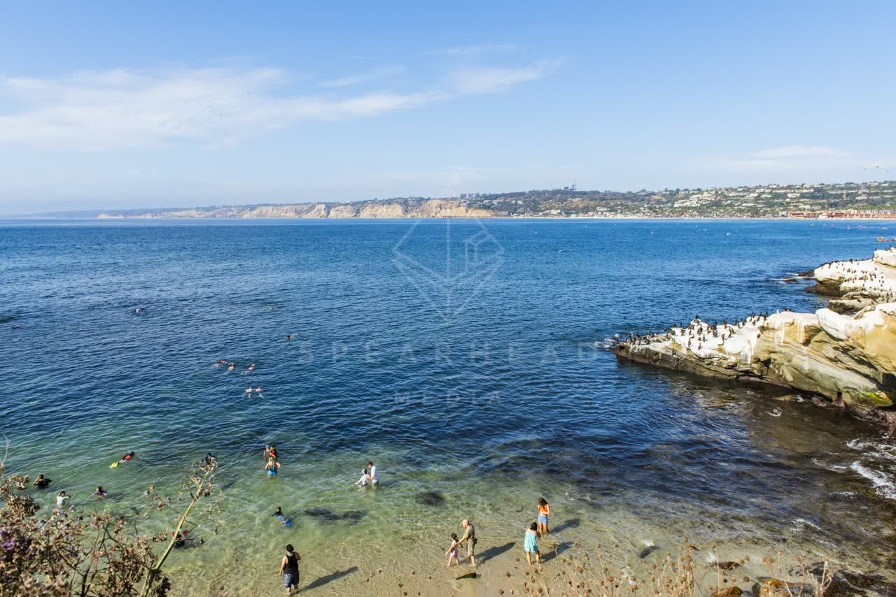 Elevated view of the beach, wildlife and the ocean at La Jolla Cove, with swimmers in the water.