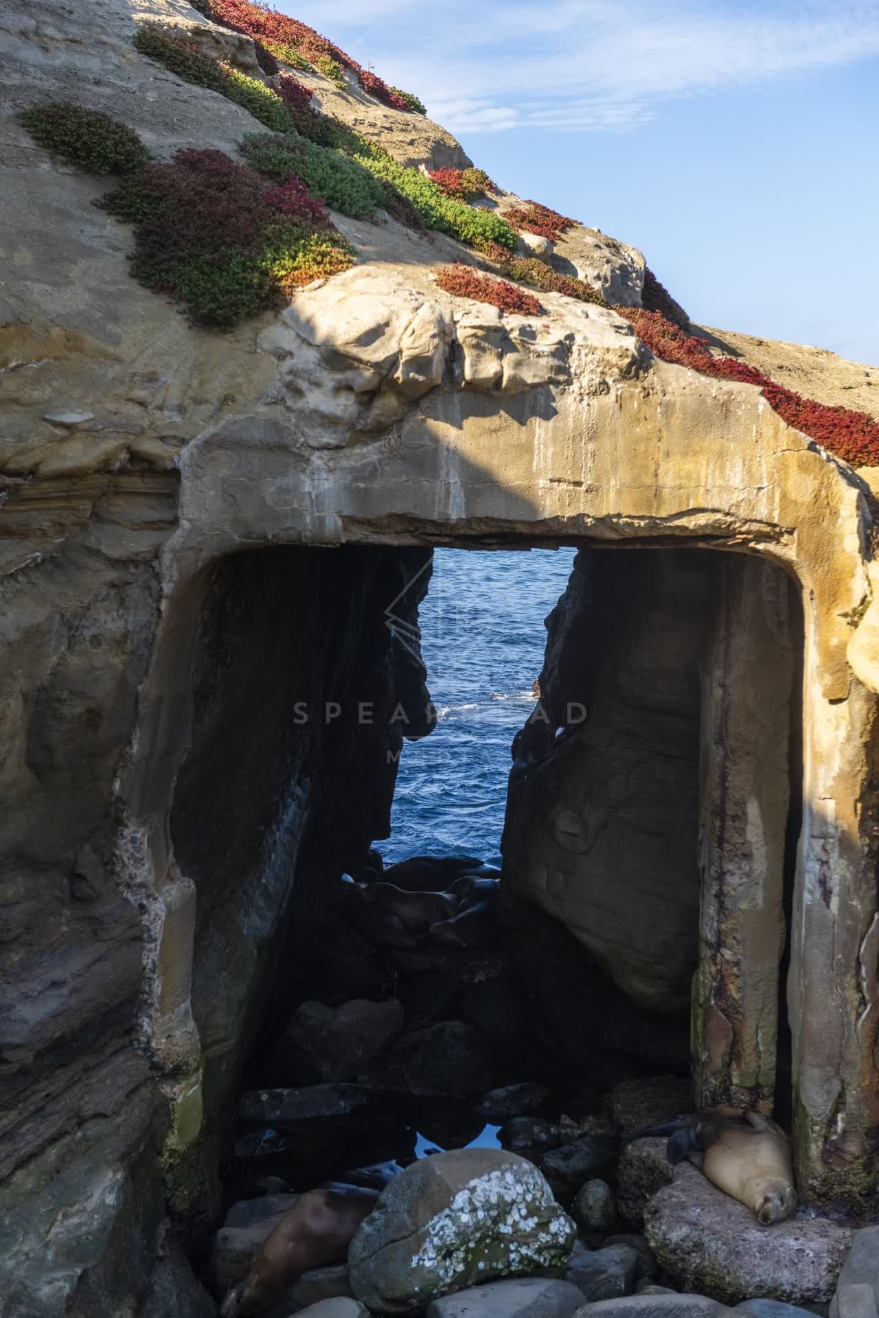Elevated view of the cliffs, wildlife and the ocean at La Jolla Cove.