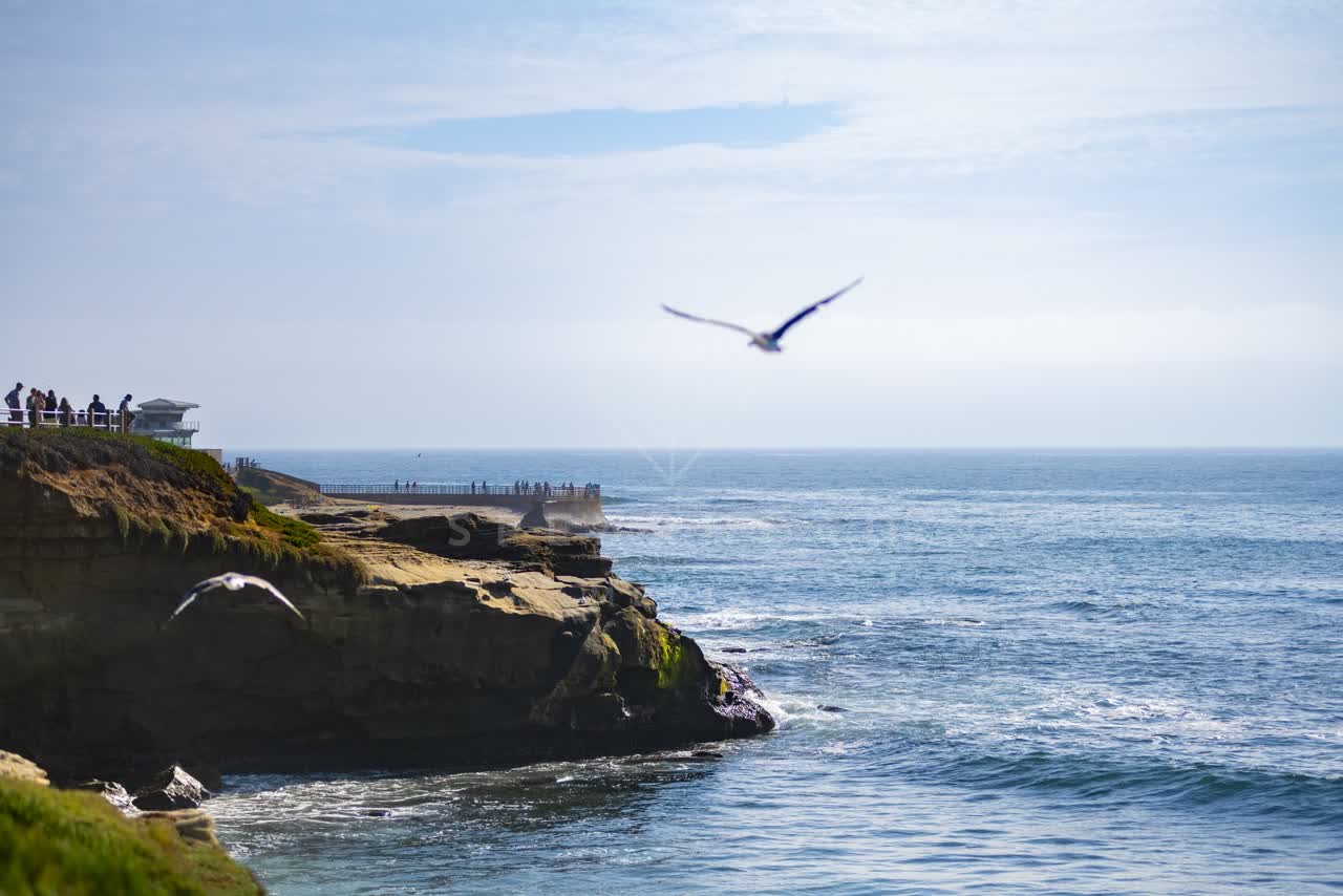 Elevated view of the cliffs, wildlife and the ocean at La Jolla Cove, with people walking.
