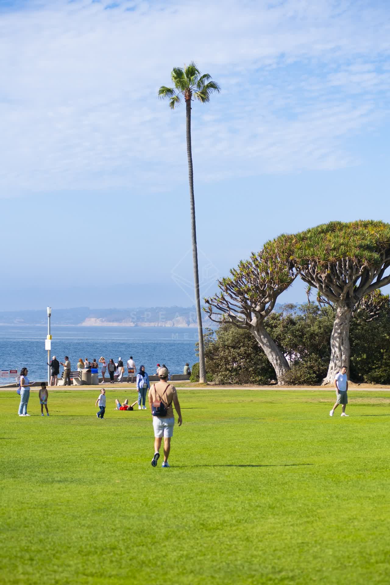 A park, palm trees and the ocean at La Jolla Cove, with people walking.