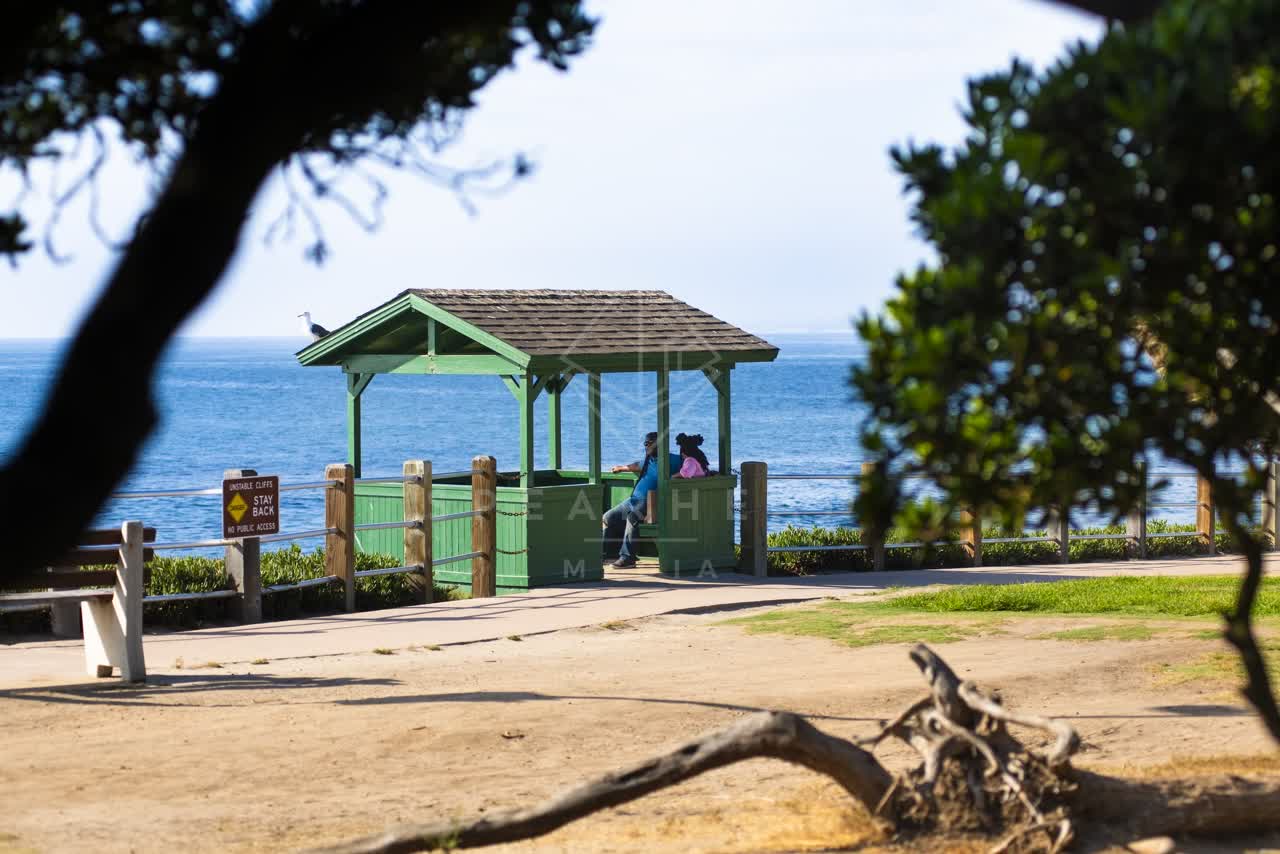 The cliffs, wildlife and the ocean at La Jolla Cove.