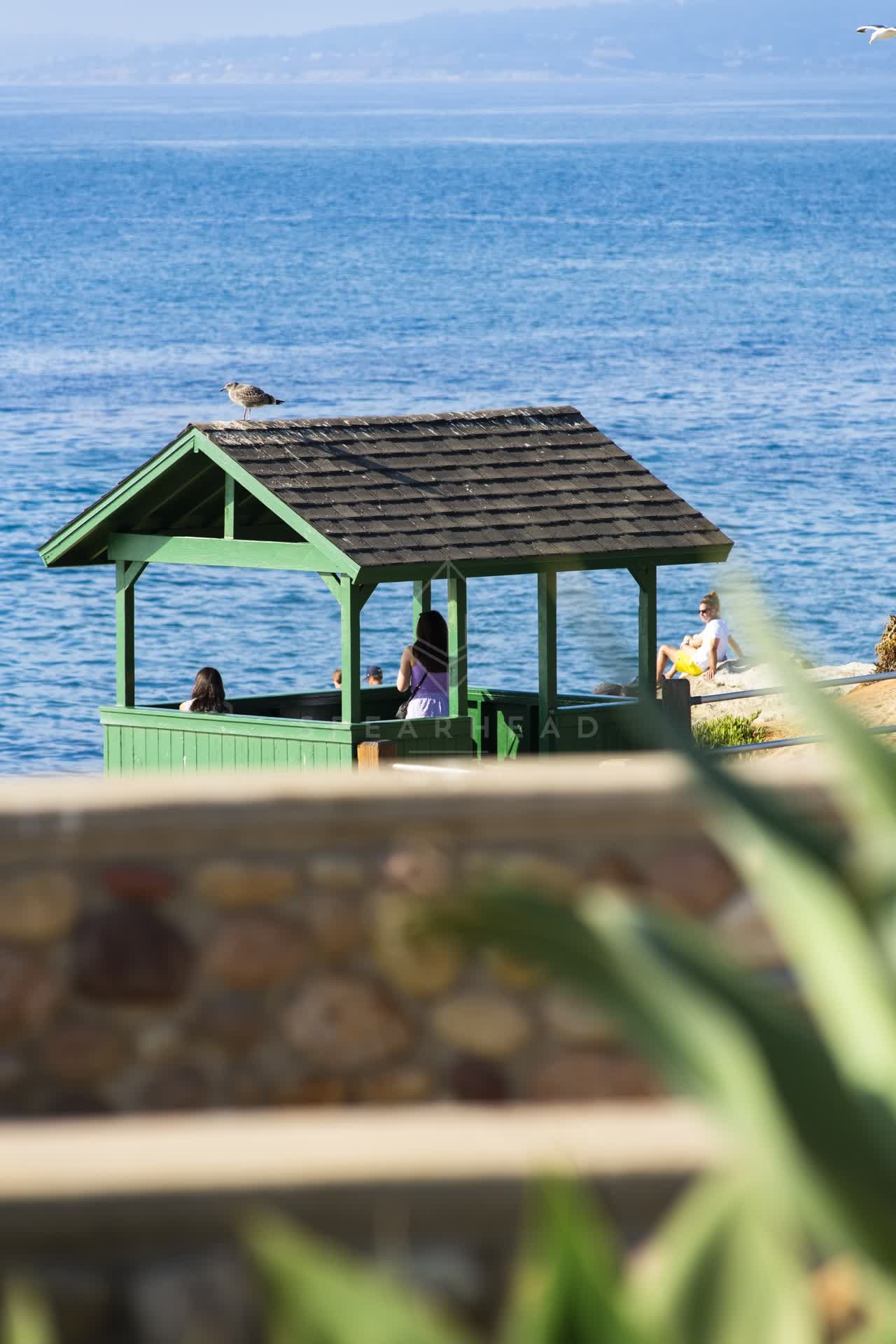 Elevated view of the beach, wildlife and the ocean at La Jolla Cove, with people walking.