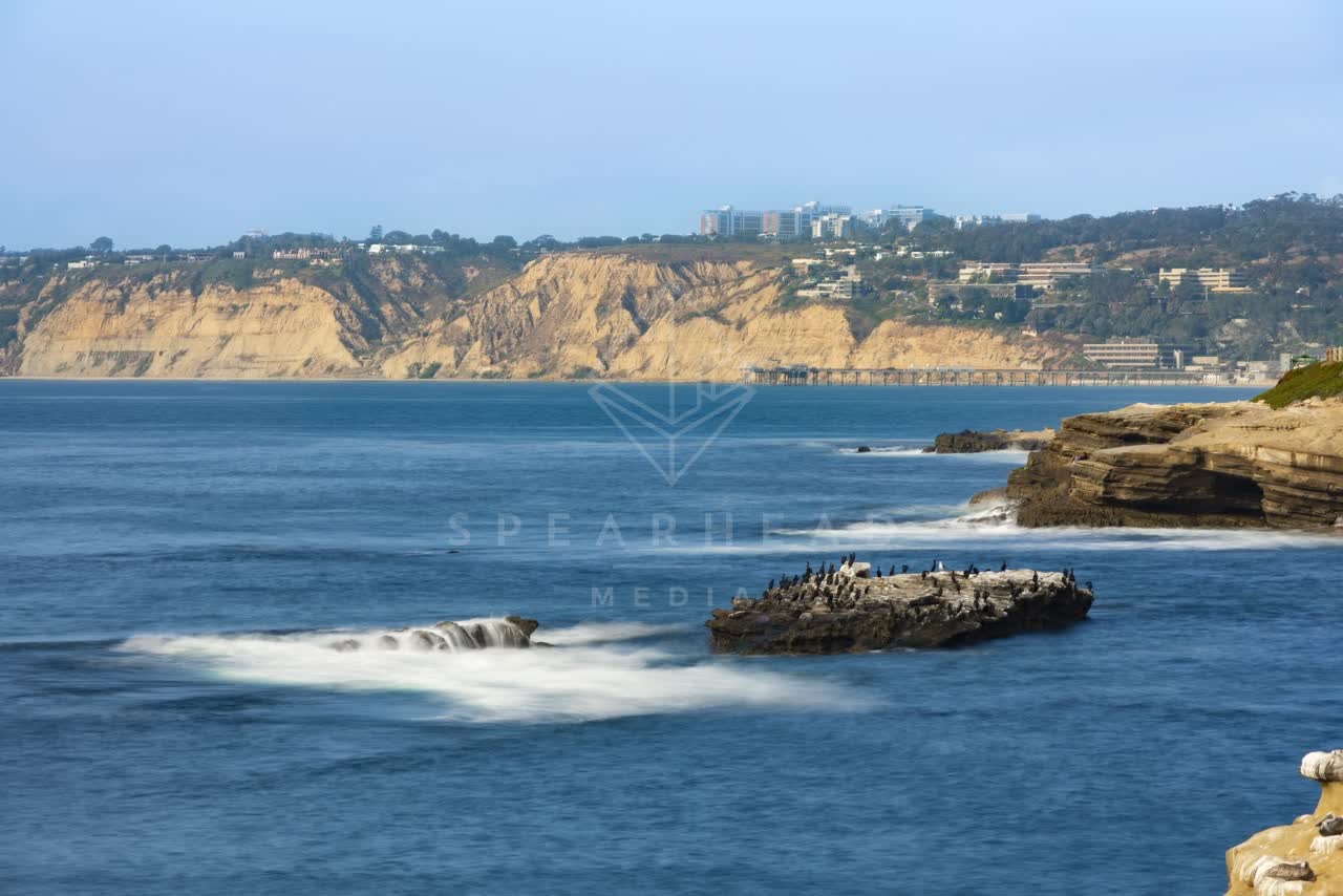 Elevated view of the cliffs, the pier and wildlife at La Jolla Cove.