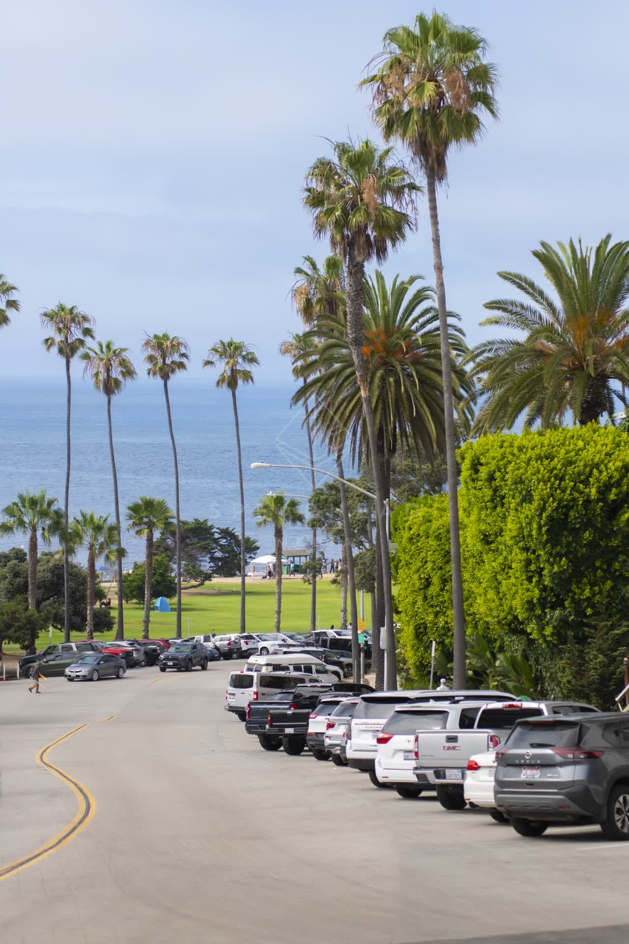 Elevated view of a park, palm trees and the ocean at La Jolla Cove, with people walking.