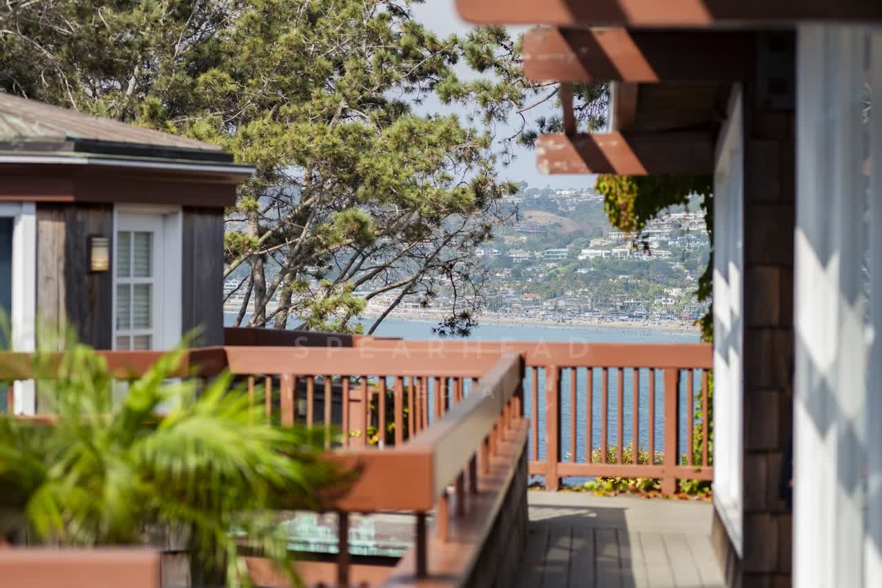 Elevated view of a residential street, palm trees and the ocean at La Jolla Cove.