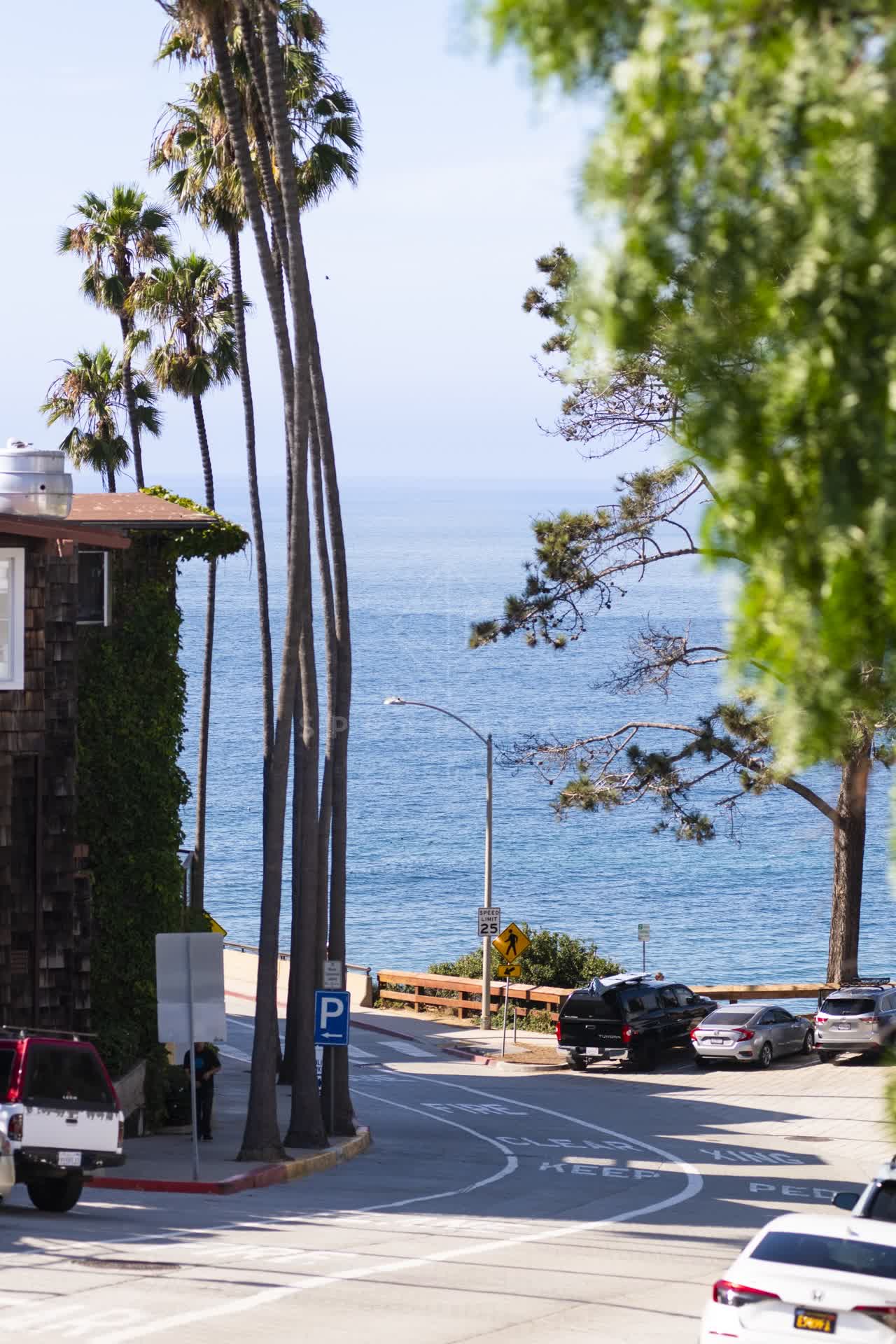 Elevated view of a residential street, palm trees and the ocean at La Jolla Cove.