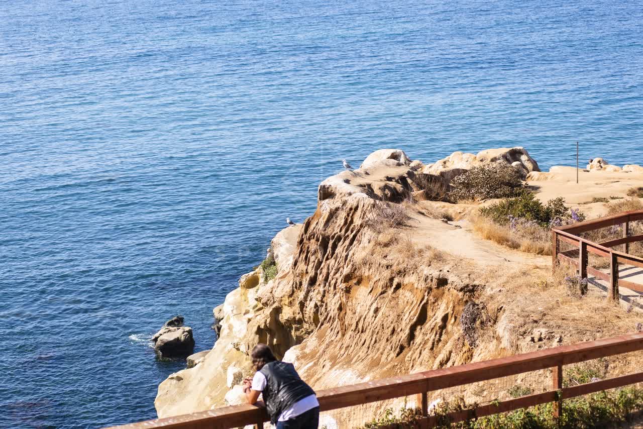 Elevated view of the cliffs, wildlife and the ocean at La Jolla Cove.