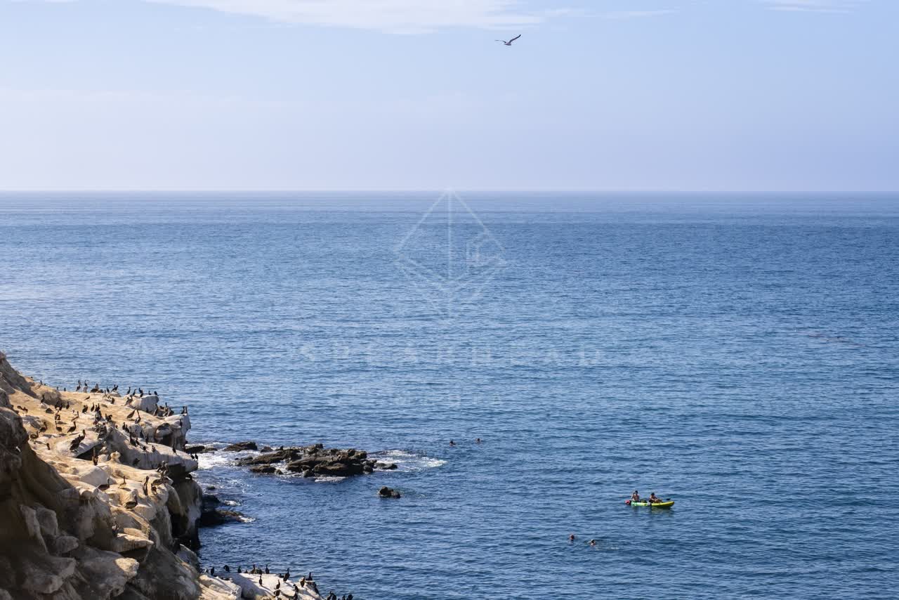 Elevated view of the cliffs, boats and wildlife at La Jolla Cove, with paddlers on the water.