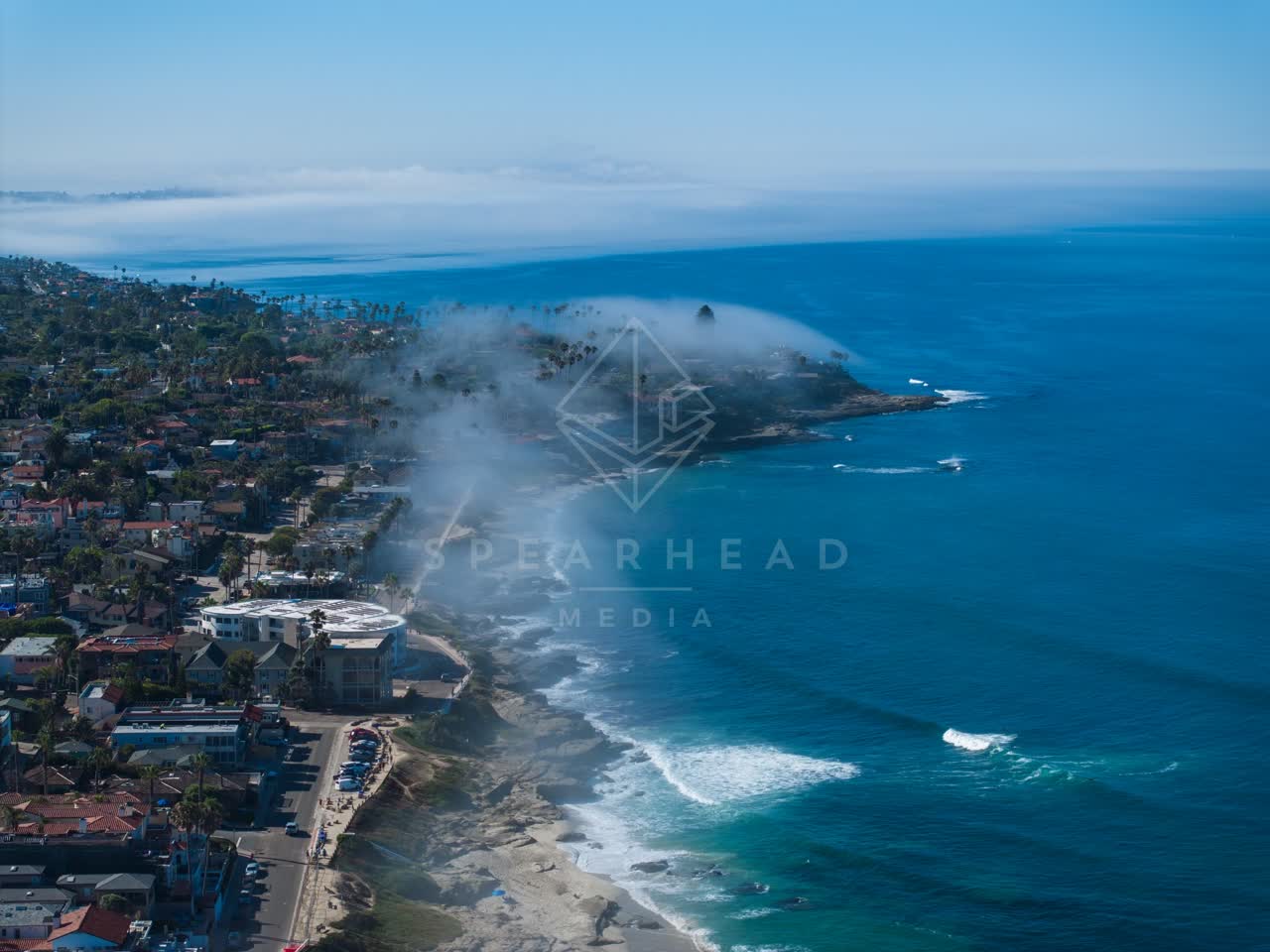 Aerial view of the cliffs, palm trees and the ocean at Windansea.