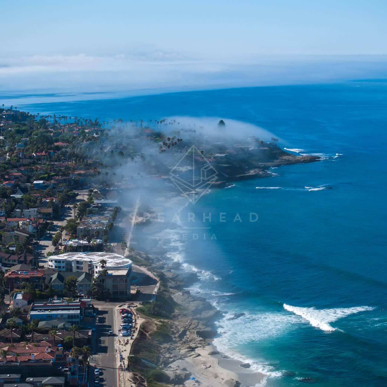 Aerial view of the cliffs, palm trees and the ocean at Windansea.