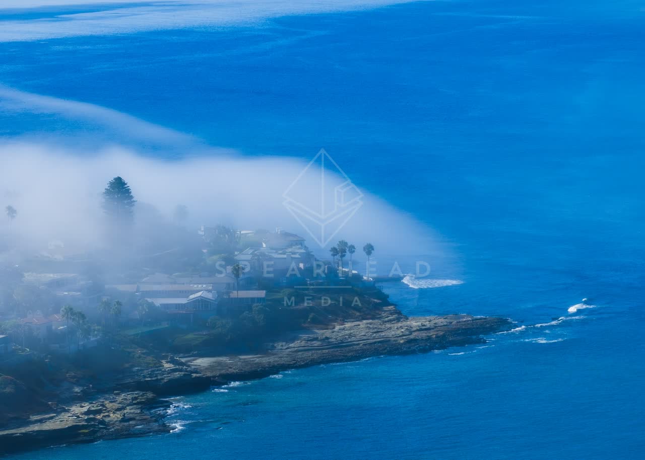 Aerial view of the cliffs, palm trees and the ocean at Windansea.