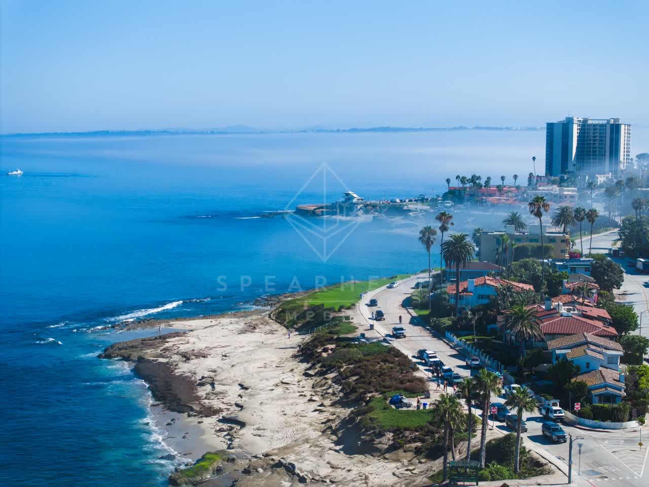 Aerial view of the beach, palm trees and the ocean at Windansea.