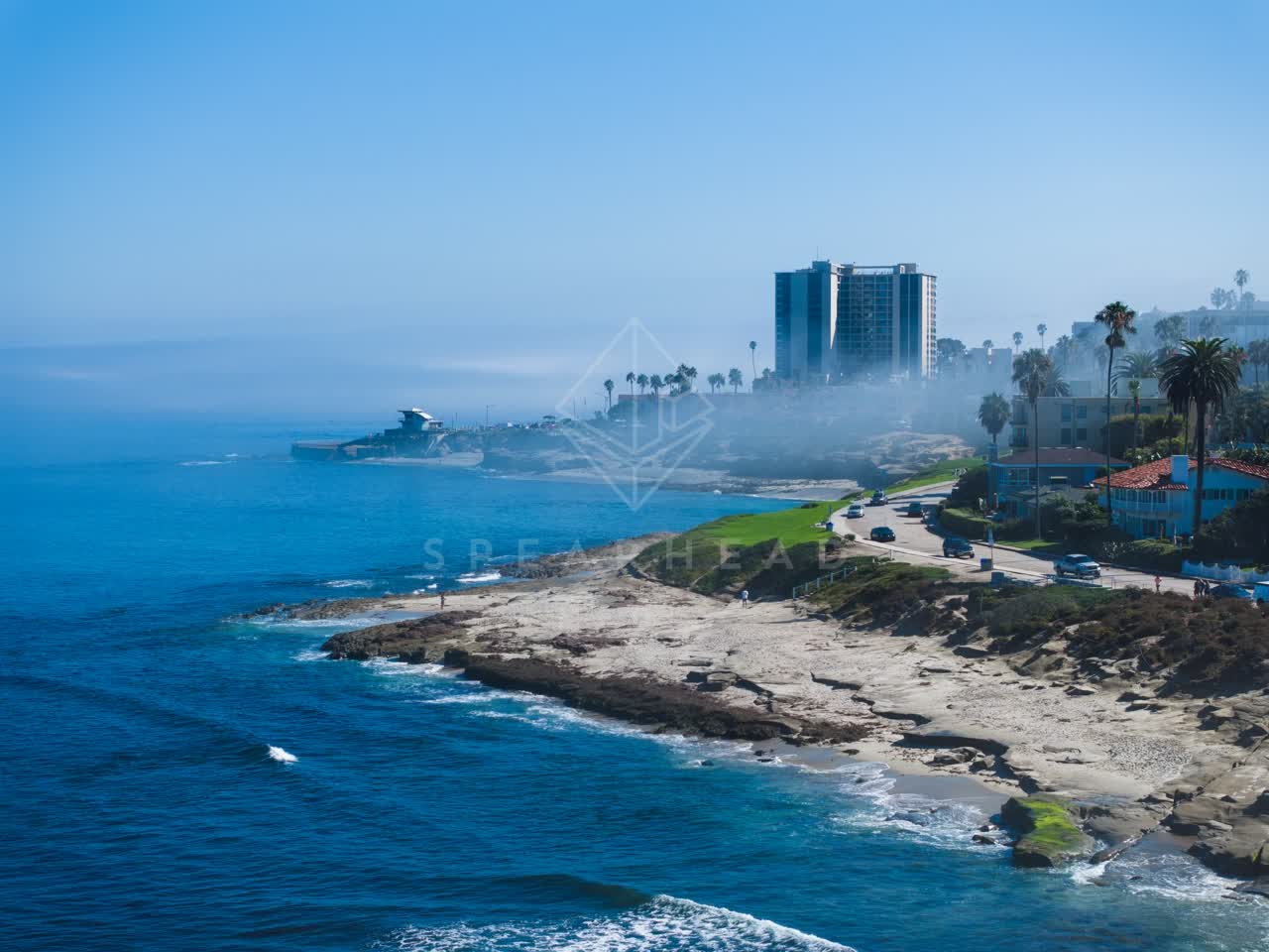 Aerial view of the beach, palm trees and the ocean at Windansea.
