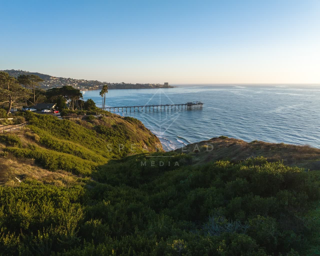 Aerial view of the cliffs, the pier and palm trees at La Jolla Shores.