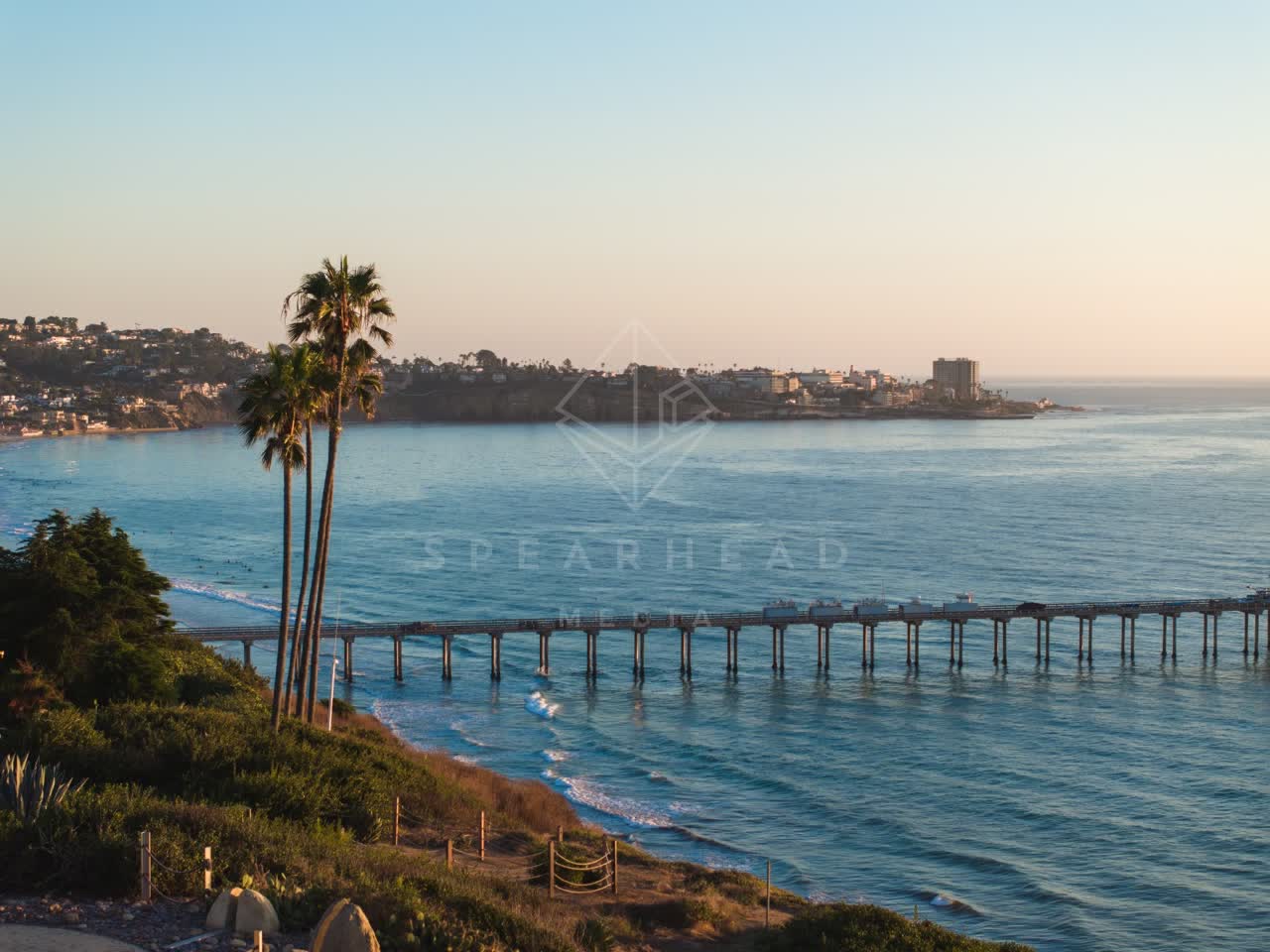 Elevated view of the cliffs, the pier and palm trees at La Jolla Shores.