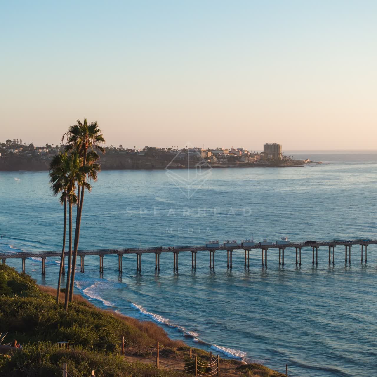 Elevated view of the cliffs, the pier and palm trees at La Jolla Shores.