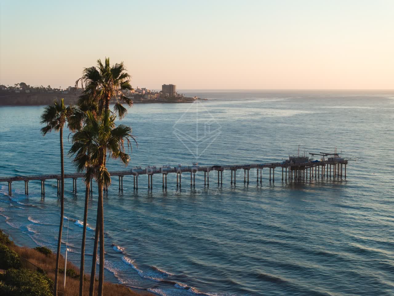Elevated view of the cliffs, the pier and palm trees at La Jolla Shores.