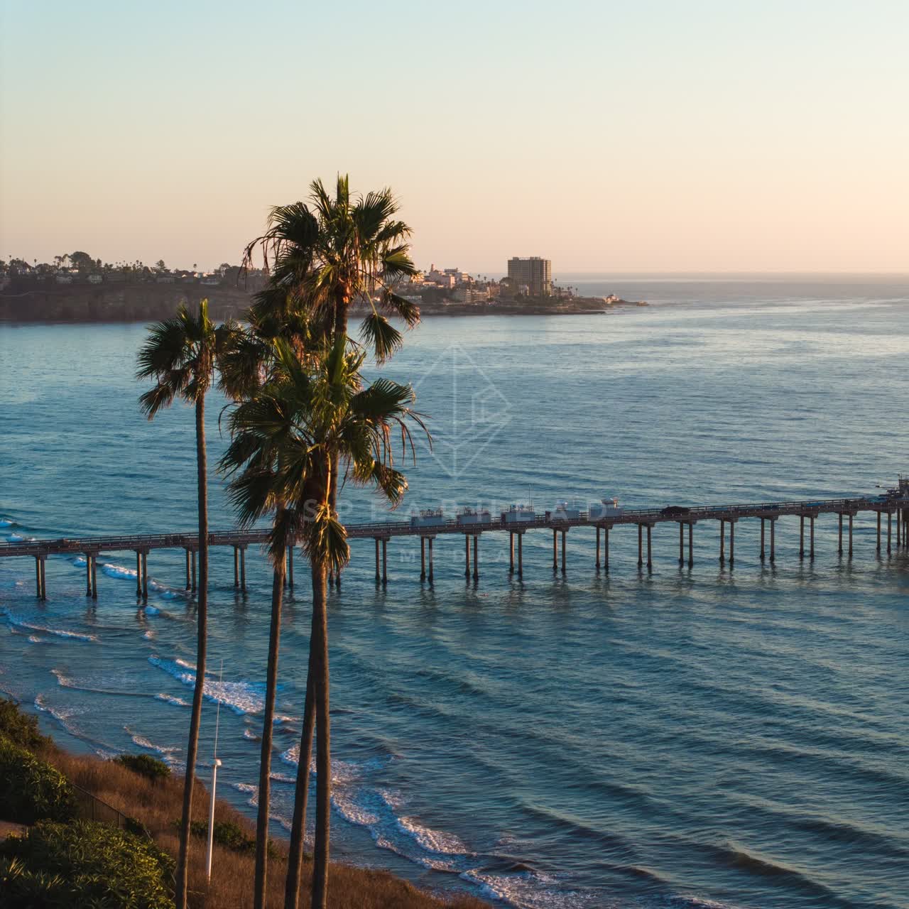 Elevated view of the beach, the pier and palm trees at La Jolla Shores.