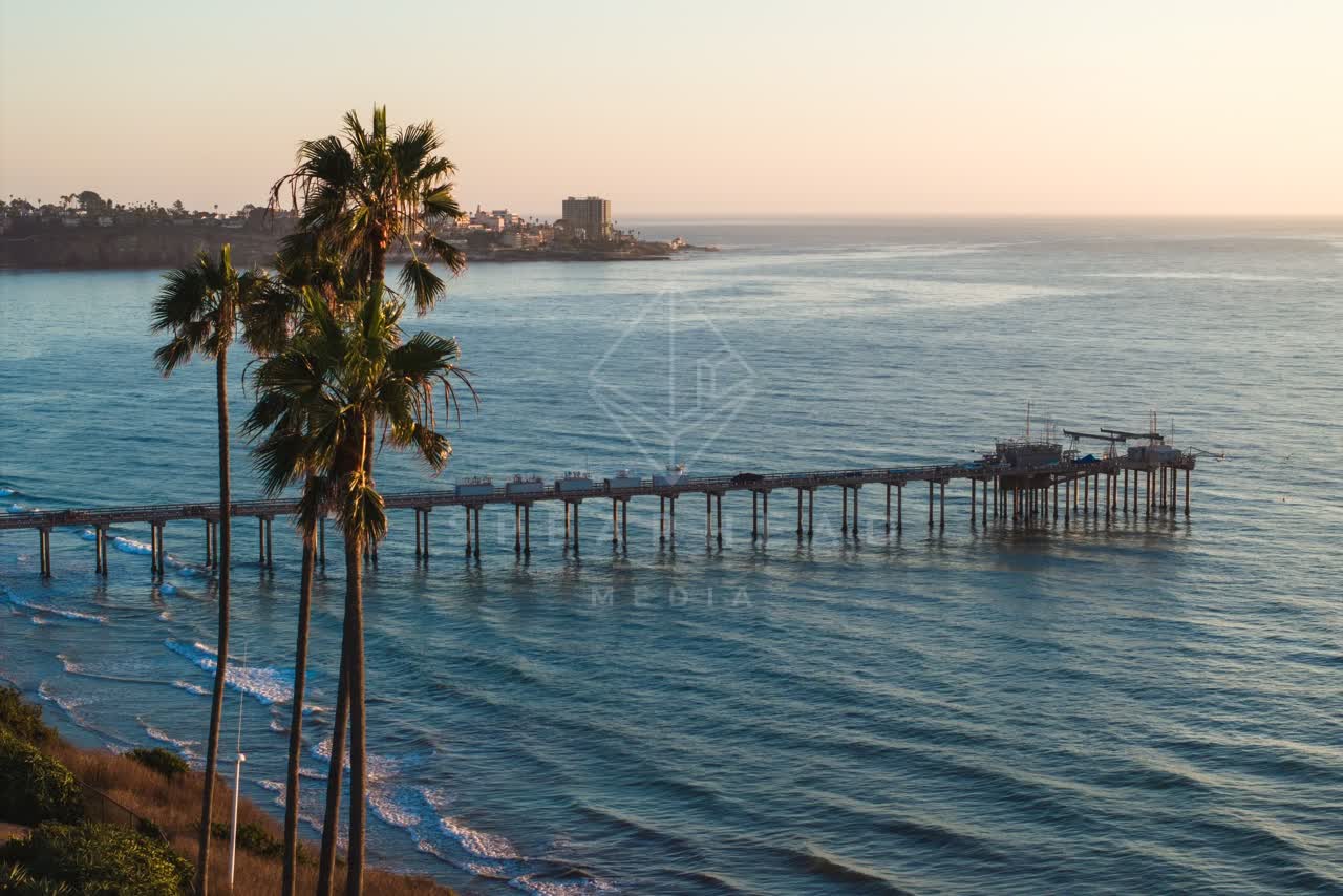 Elevated view of the cliffs, the pier and palm trees at La Jolla Shores.