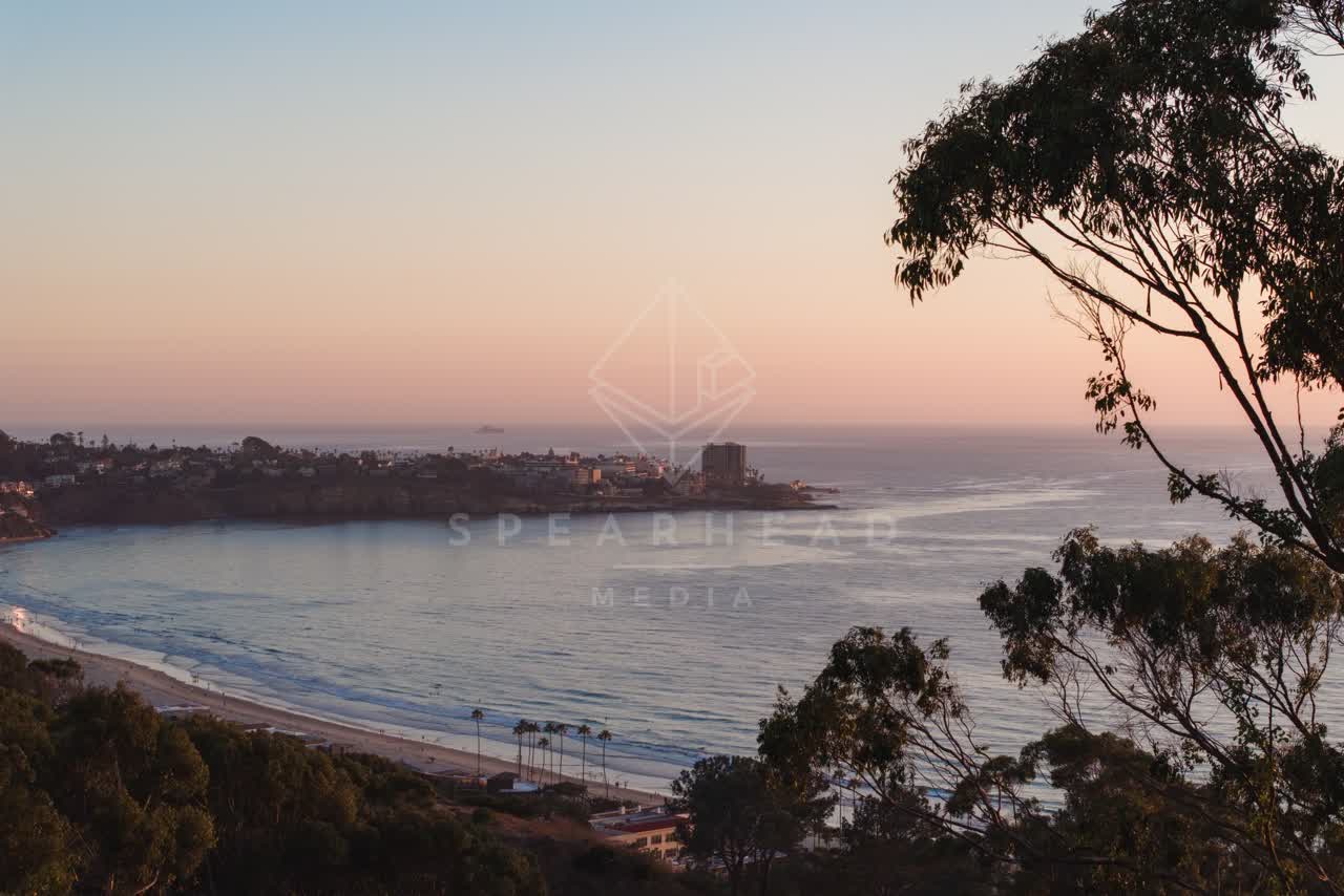 Elevated view of the cliffs, the pier and palm trees at La Jolla Shores.