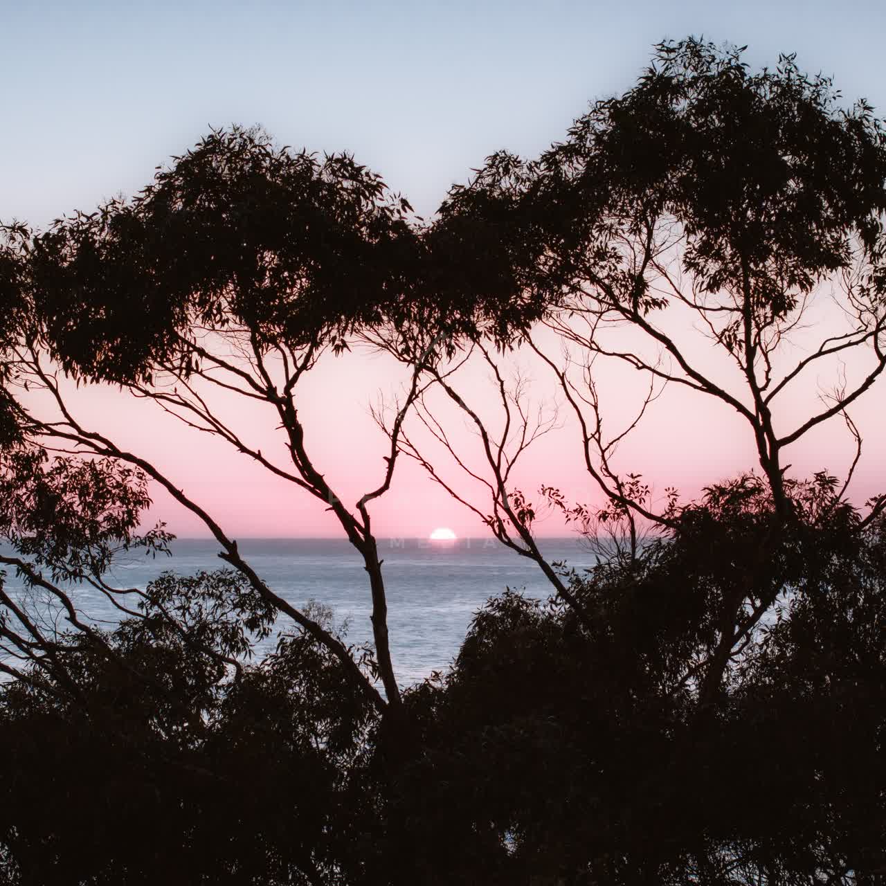 The cliffs, the ocean and open country at La Jolla Farms.
