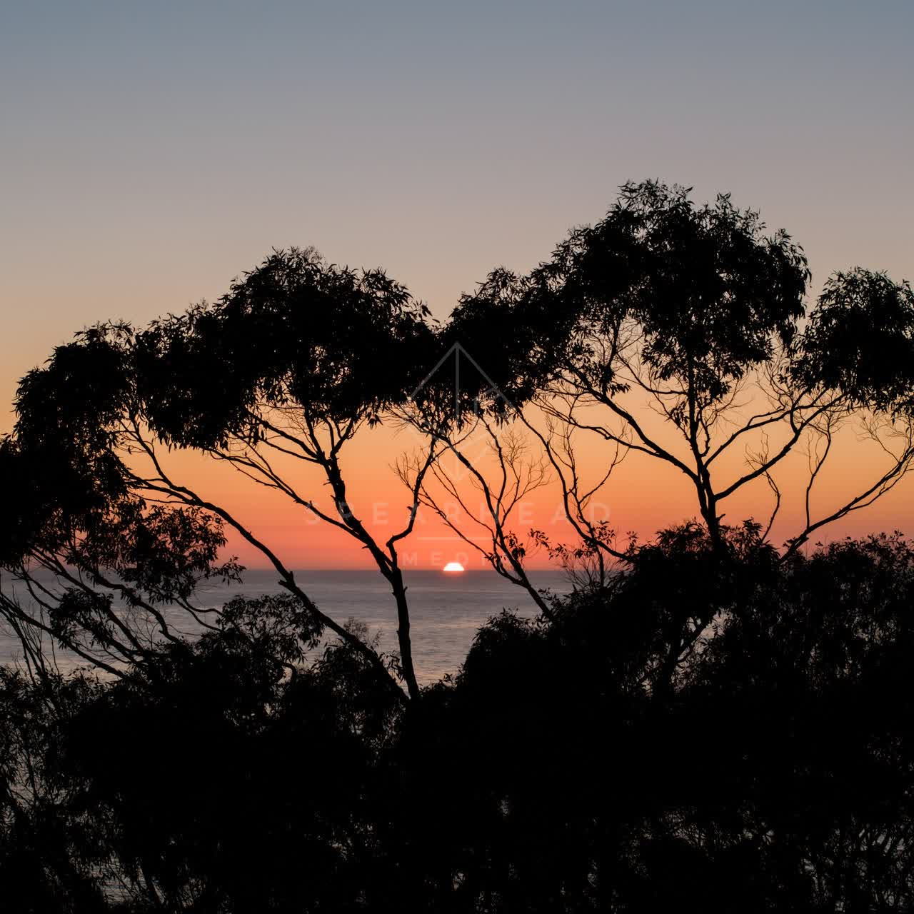 The cliffs, the ocean and open country at La Jolla Farms.