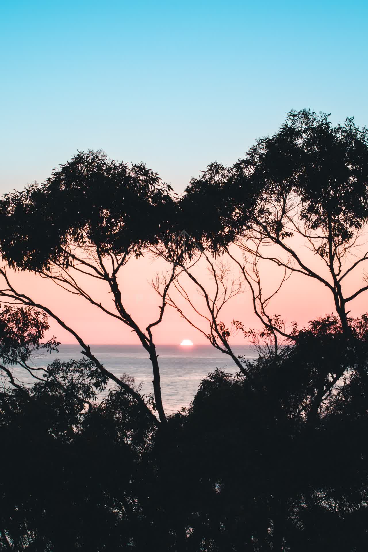 Elevated view of the cliffs, the ocean and open country at La Jolla Farms.