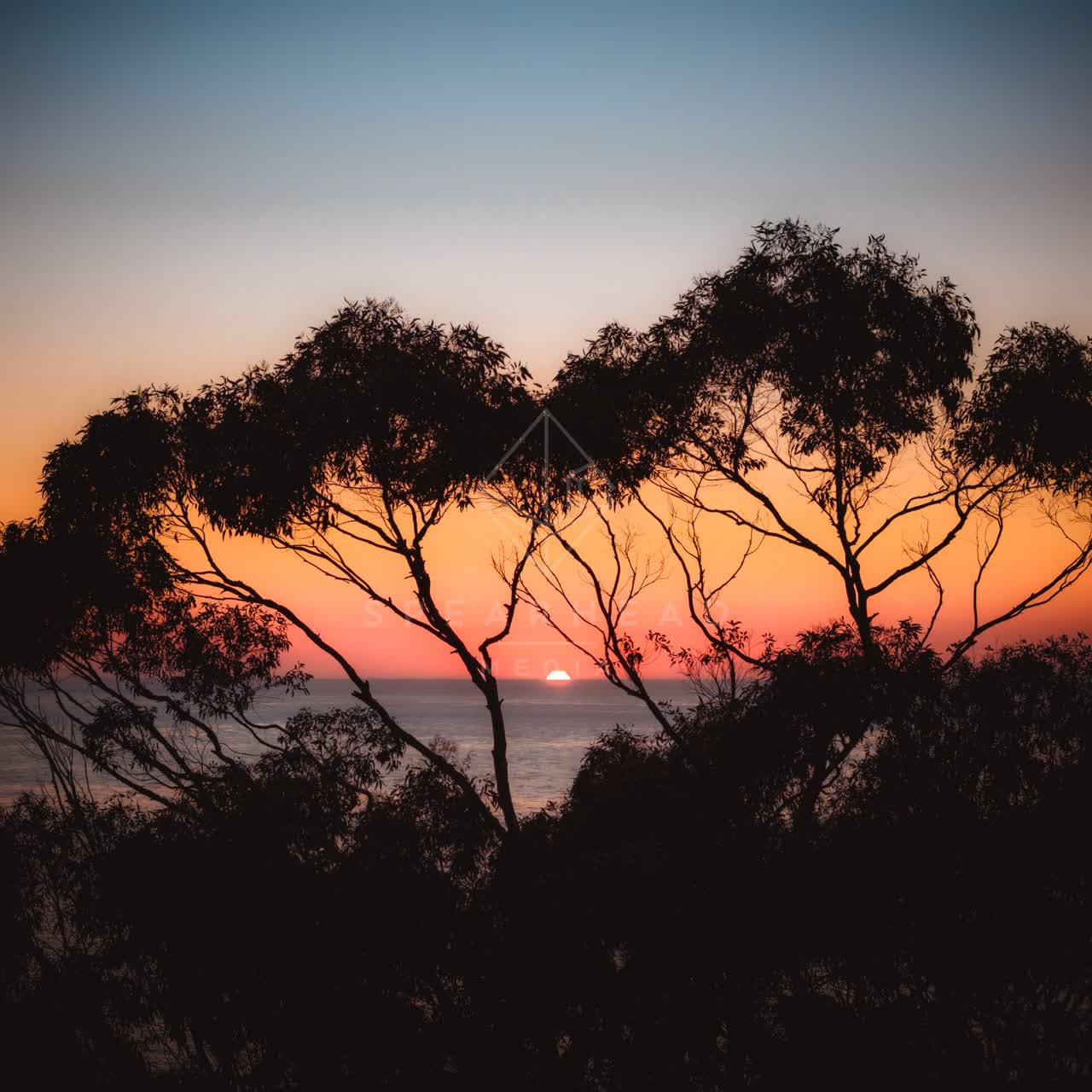 The cliffs, the ocean and open country at La Jolla Farms.