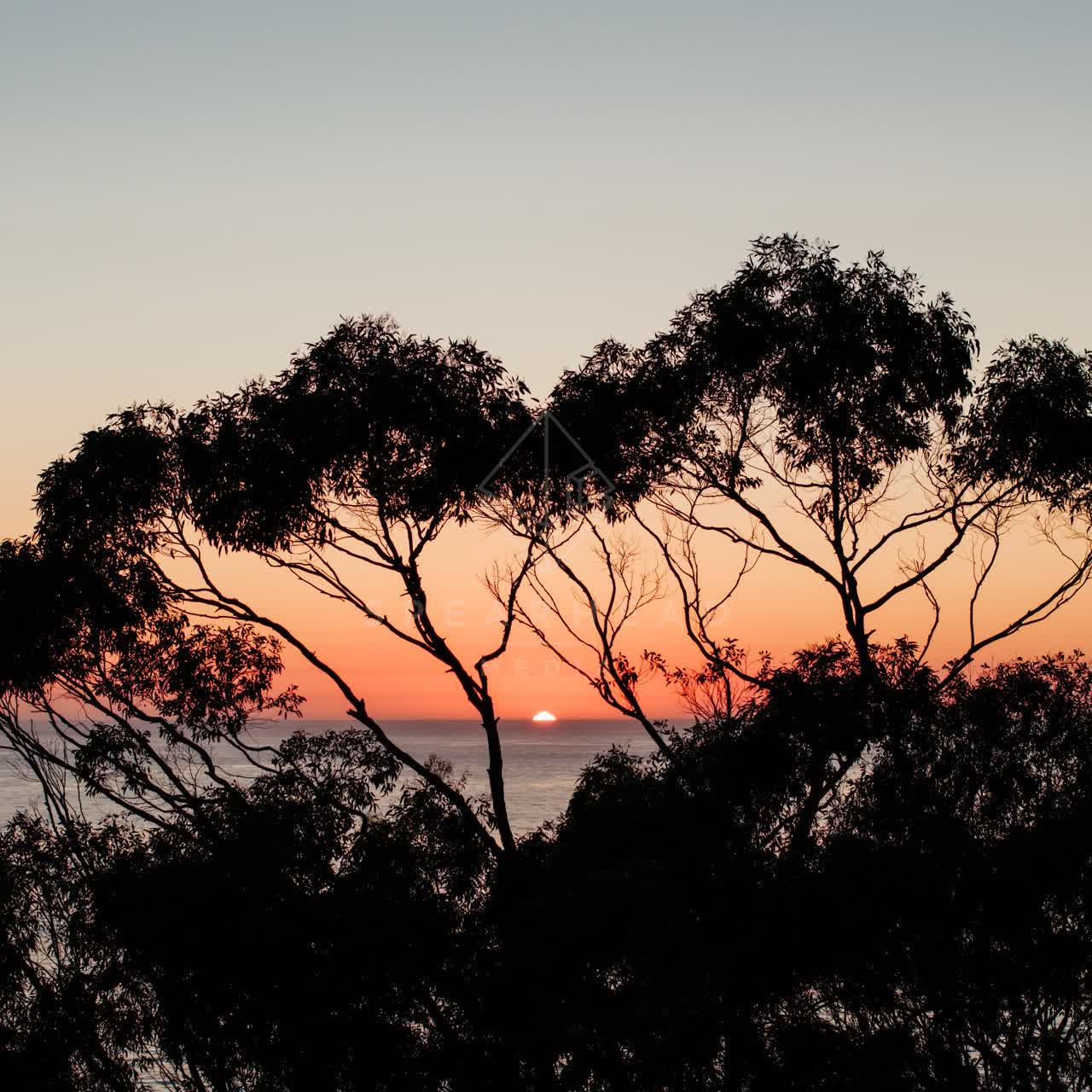 The cliffs, the ocean and open country at La Jolla Farms.