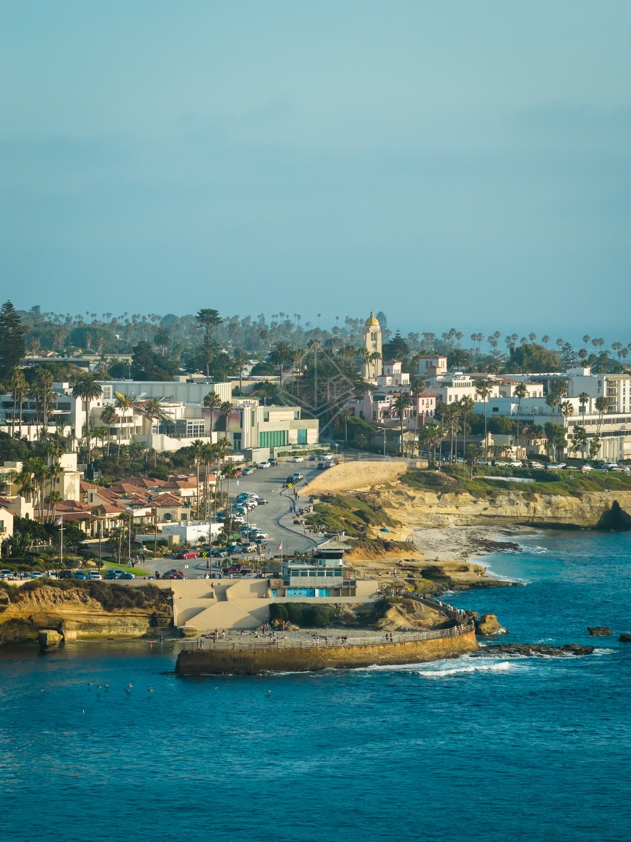 Aerial view of the cliffs, palm trees and the ocean at Village of La Jolla.