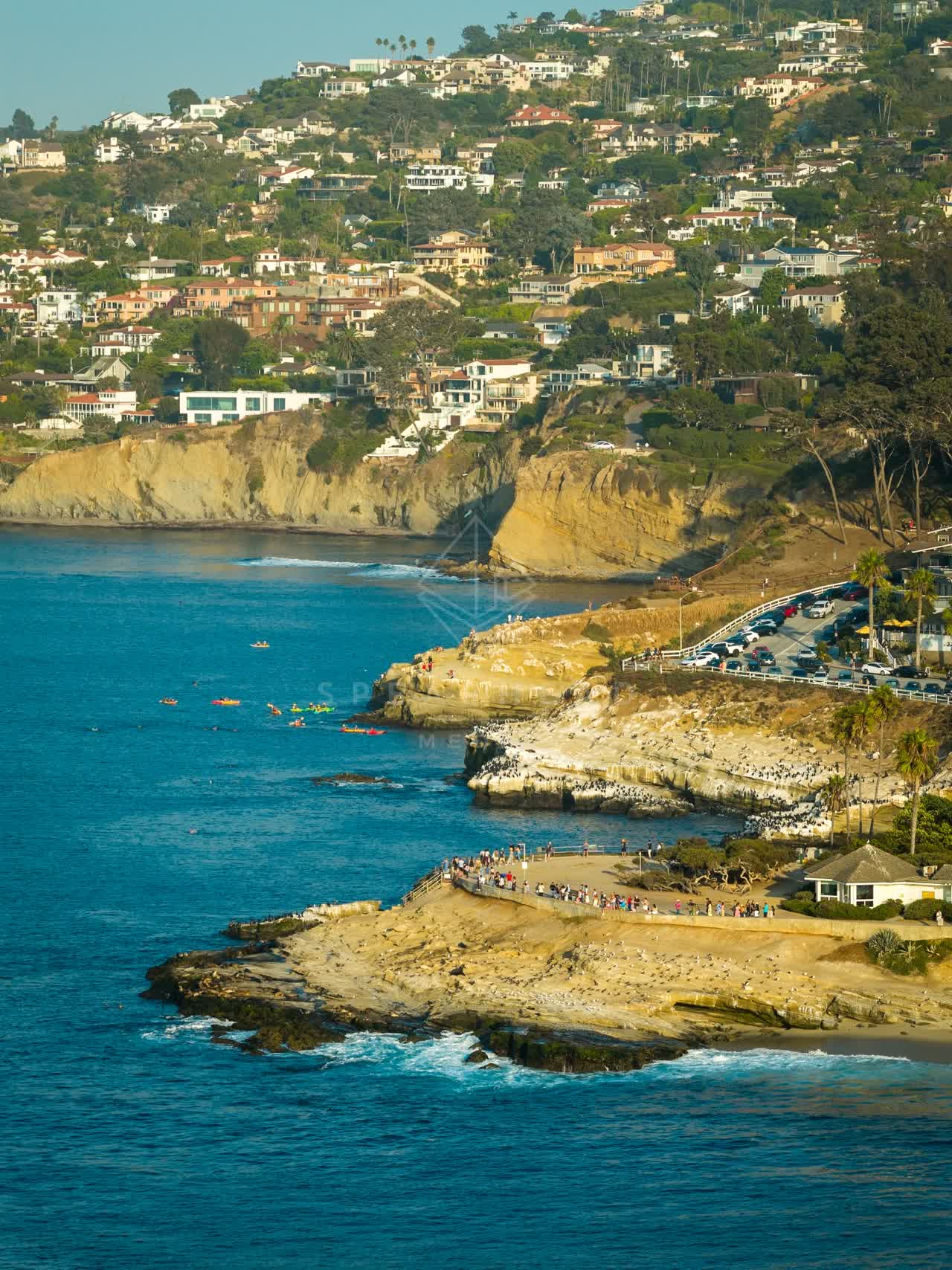 Aerial view of the cliffs, boats and palm trees at La Jolla Cove, with paddlers on the water.