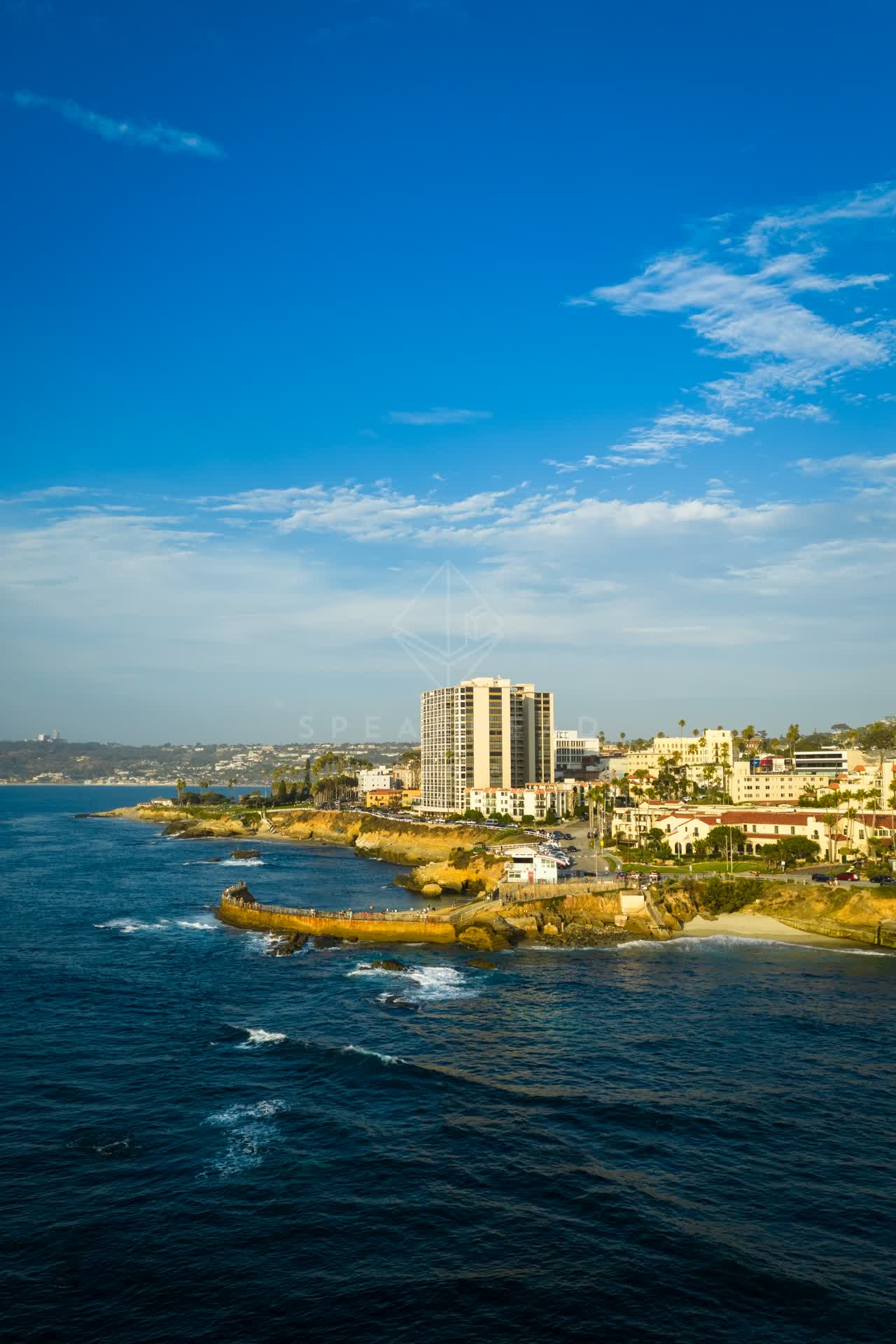 Aerial view of the cliffs, palm trees and the ocean at Village of La Jolla.