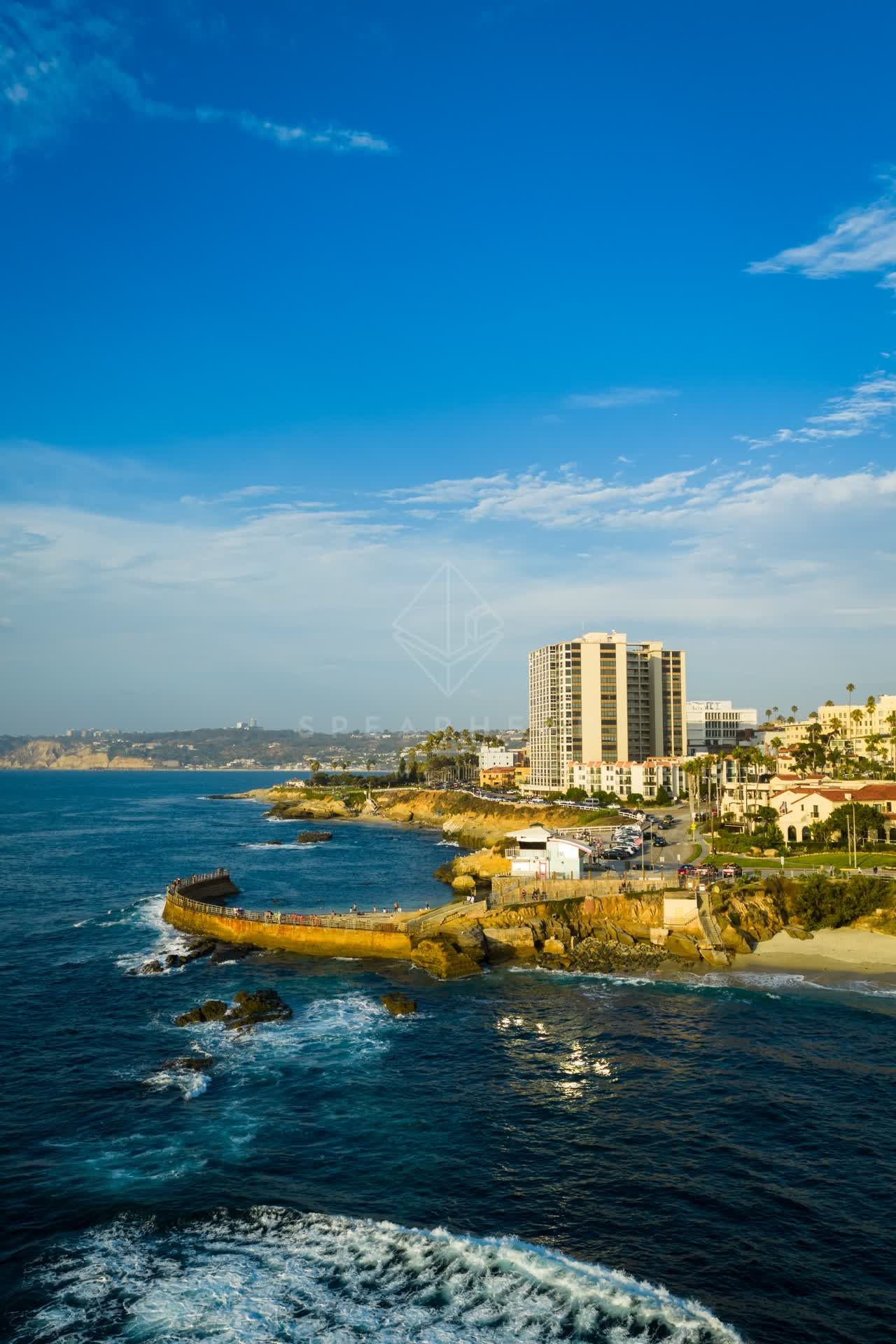 Aerial view of the cliffs, palm trees and the ocean at Village of La Jolla.