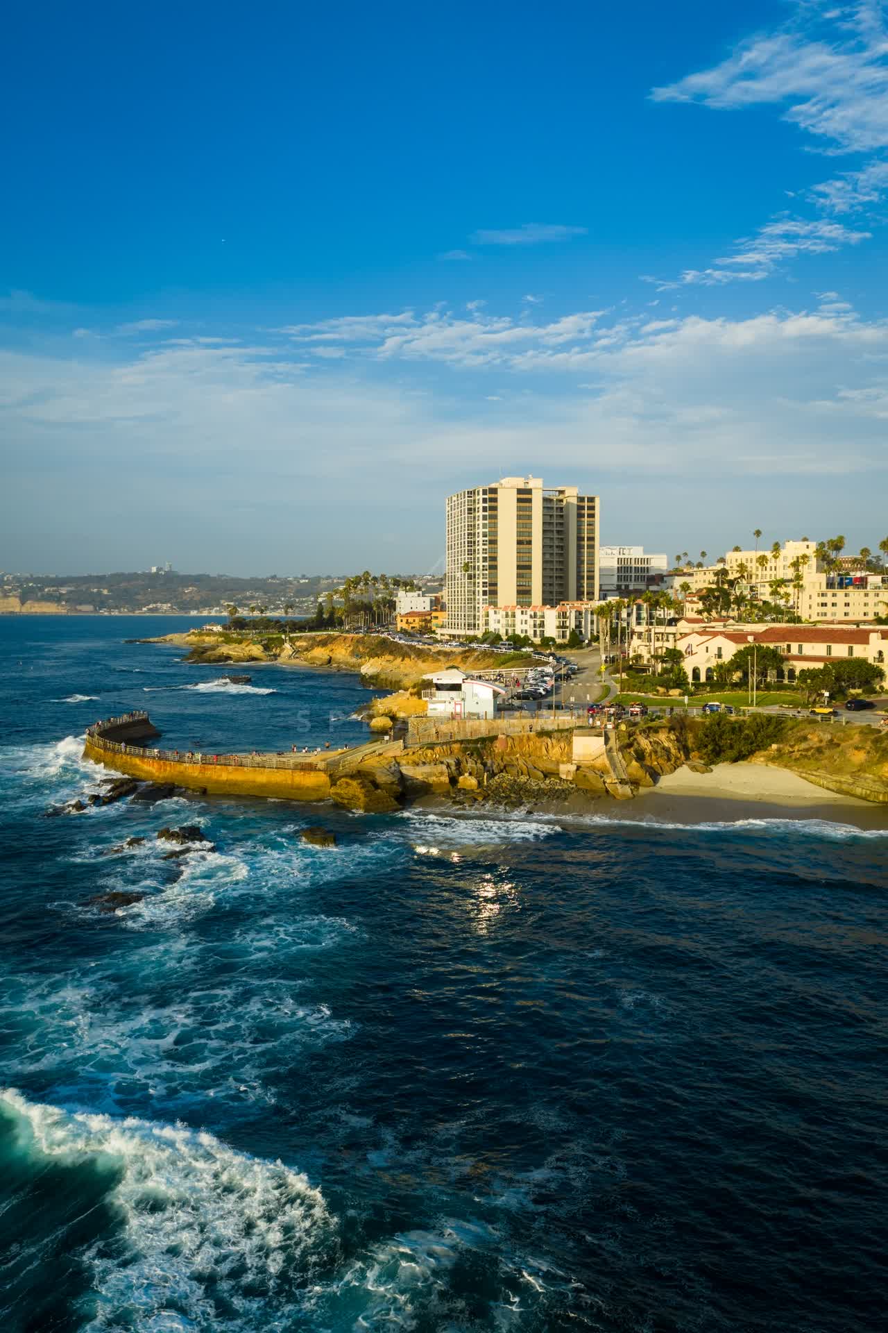 Aerial view of the cliffs, the surf and palm trees at Village of La Jolla.