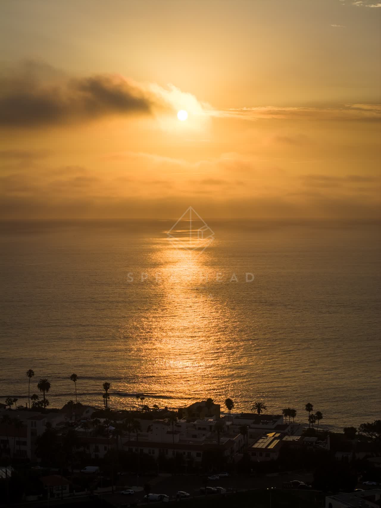 Aerial view of the cliffs, palm trees and the ocean at Village of La Jolla.