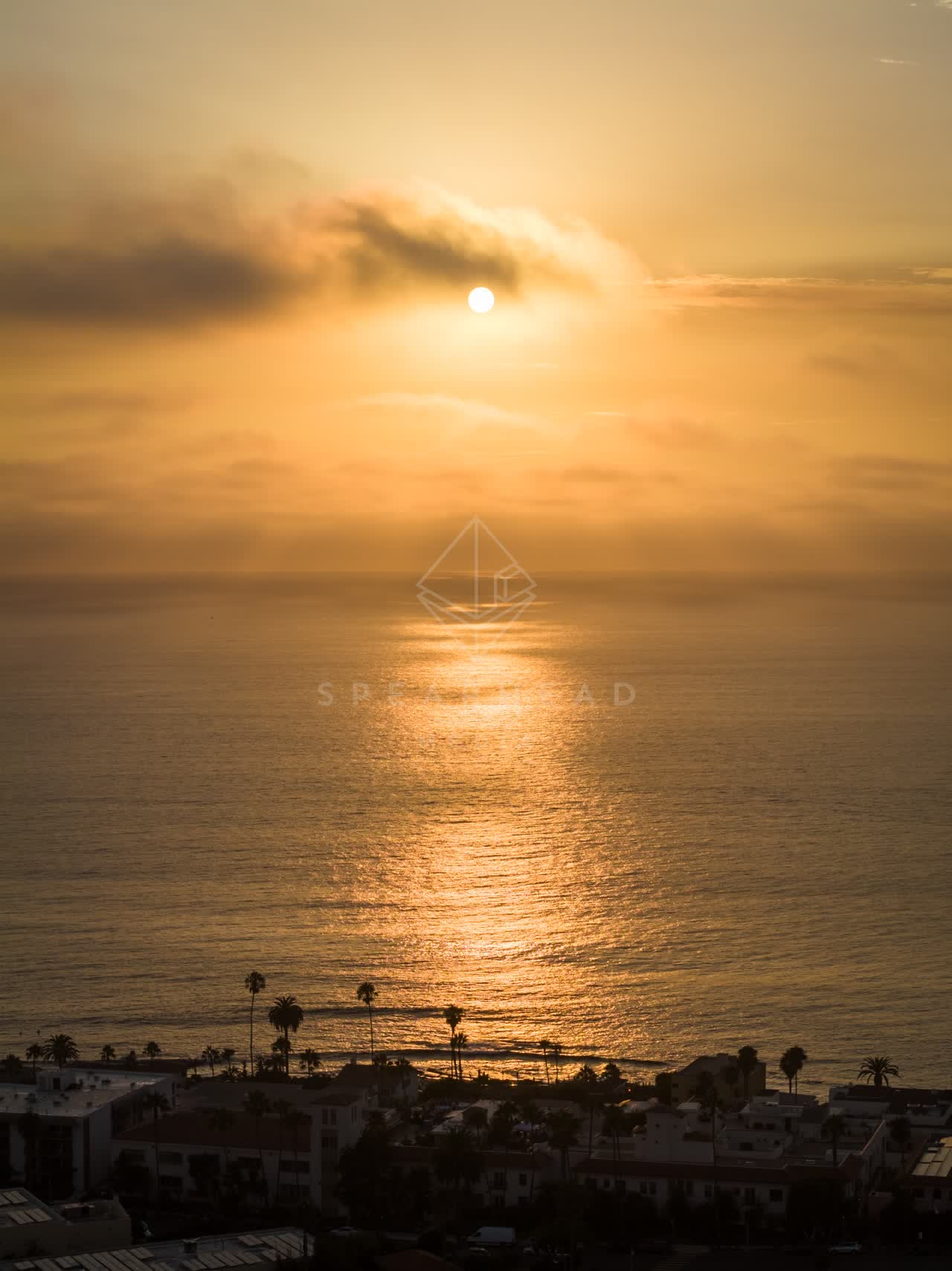 Aerial view of the beach, palm trees and the ocean at Village of La Jolla.