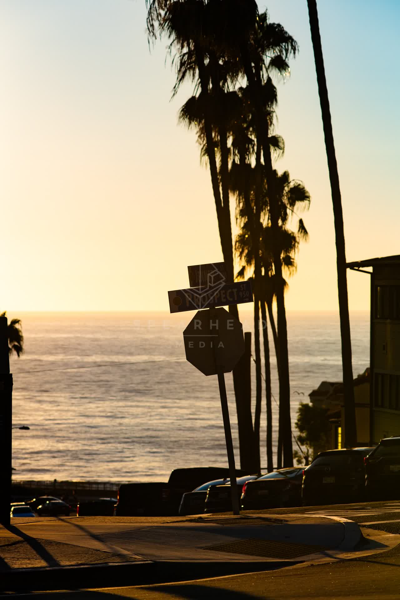 A residential street, palm trees and the ocean at La Jolla Cove.