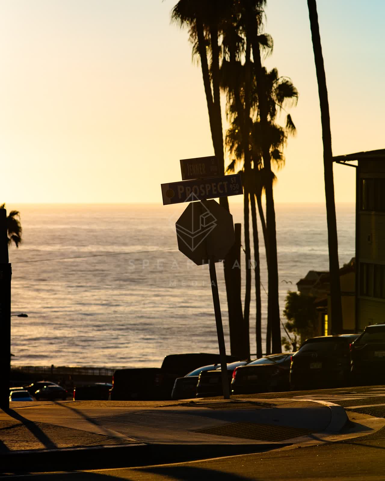A residential street, palm trees and the ocean at La Jolla Cove.