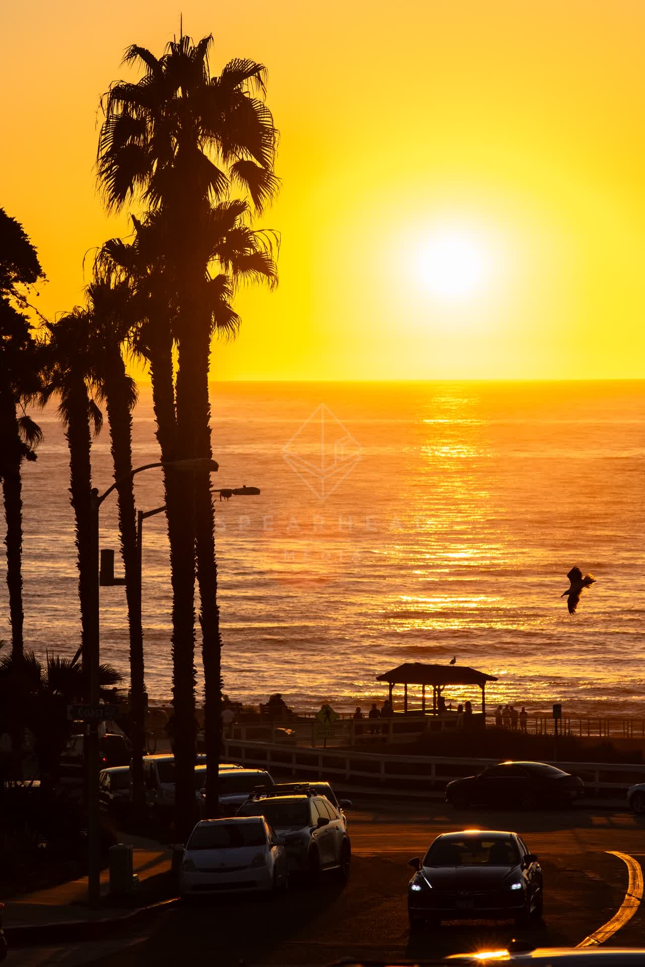 Elevated view of the beach, wildlife and palm trees at La Jolla Cove, with people walking.
