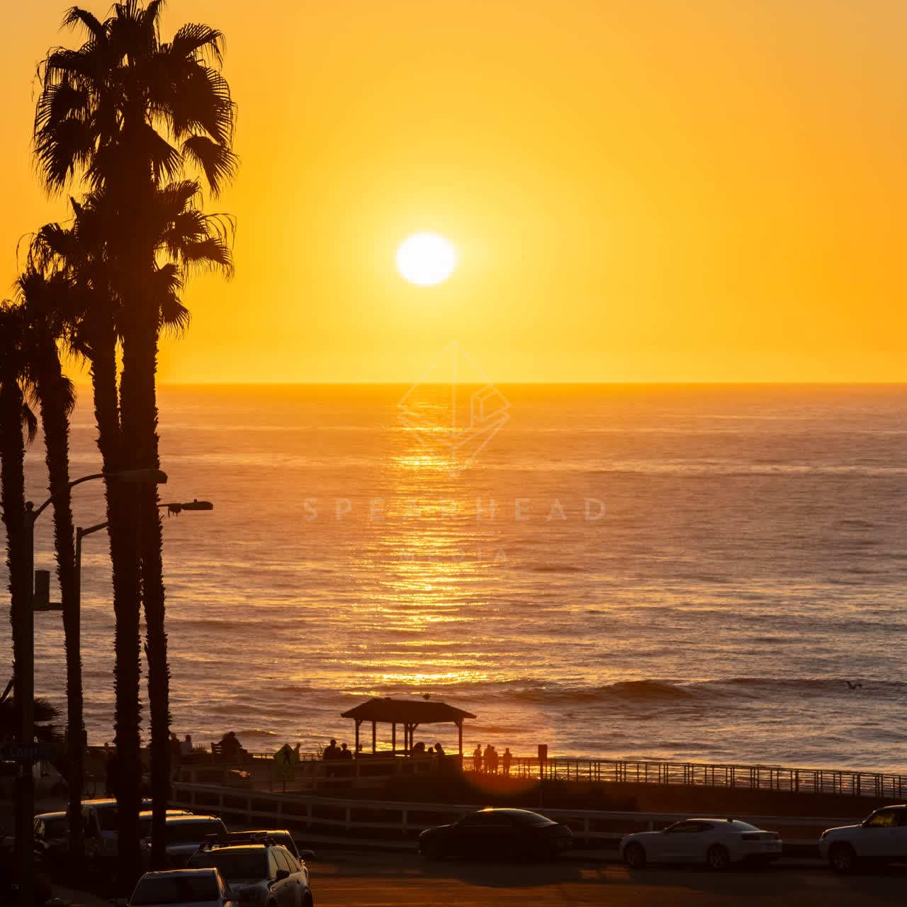 Elevated view of the beach, the surf and palm trees at La Jolla Cove, with people walking.