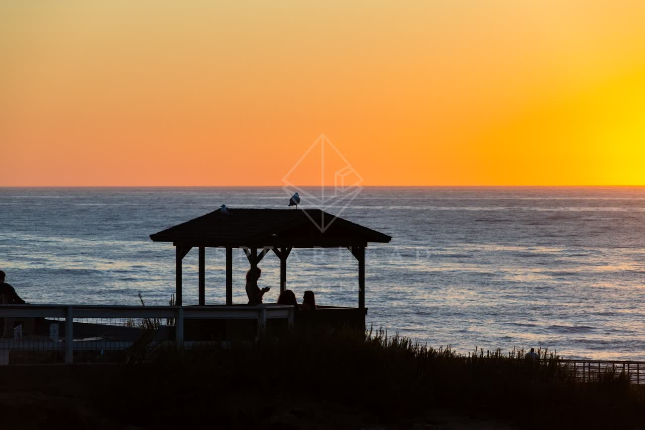 The beach, wildlife and the ocean at La Jolla Cove, with a crowd gathered.