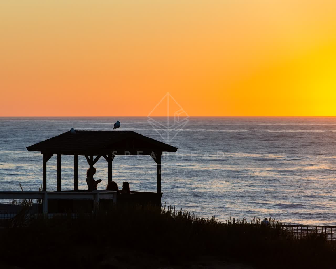 Elevated view of the beach, wildlife and the ocean at La Jolla Cove, with a crowd gathered.